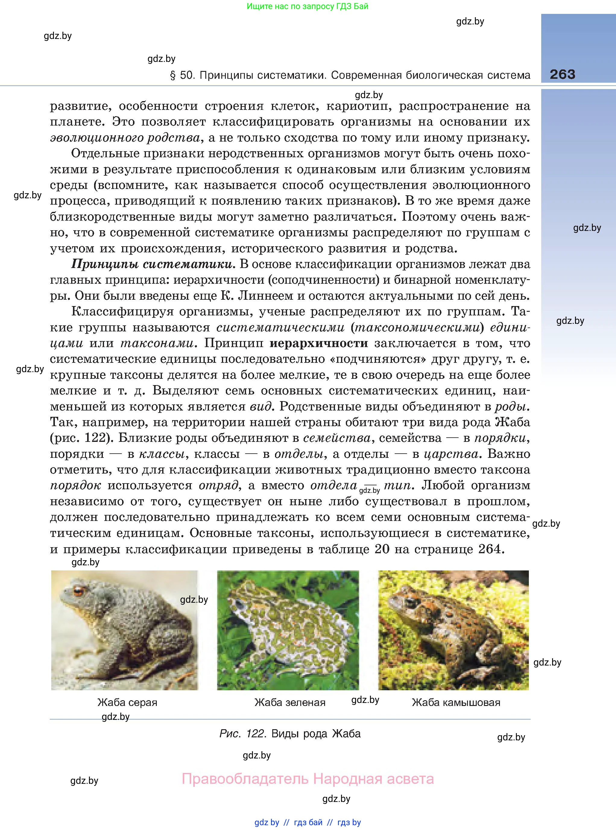 Биология, 11 класс Учебник, авторы: Дашков Максим Леонидович, Песнякевич Александр Георгиевич, Головач Алексей Михайлович, издательство Народная асвета, Минск, 2021, голубого цвета, страница 263
