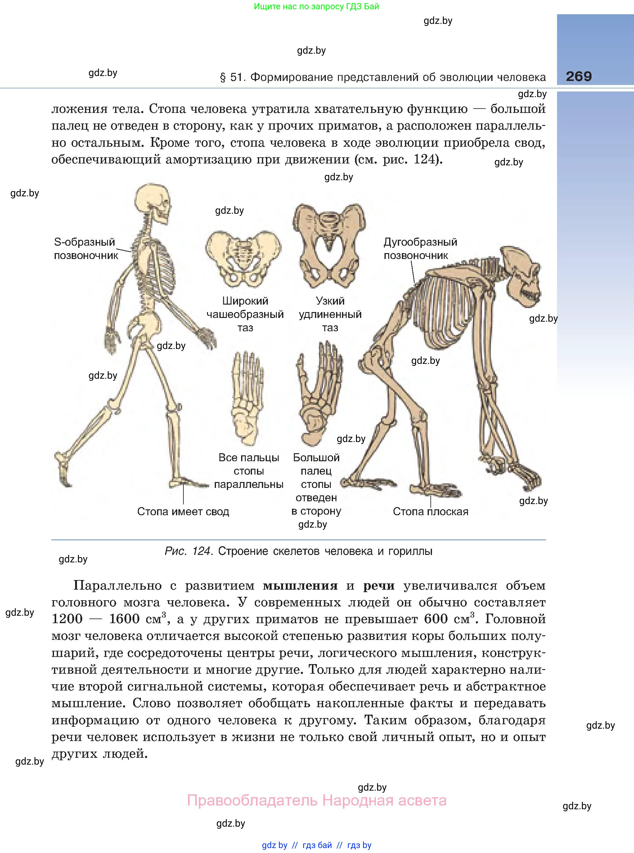 Биология, 11 класс Учебник, авторы: Дашков Максим Леонидович, Песнякевич Александр Георгиевич, Головач Алексей Михайлович, издательство Народная асвета, Минск, 2021, голубого цвета, страница 269