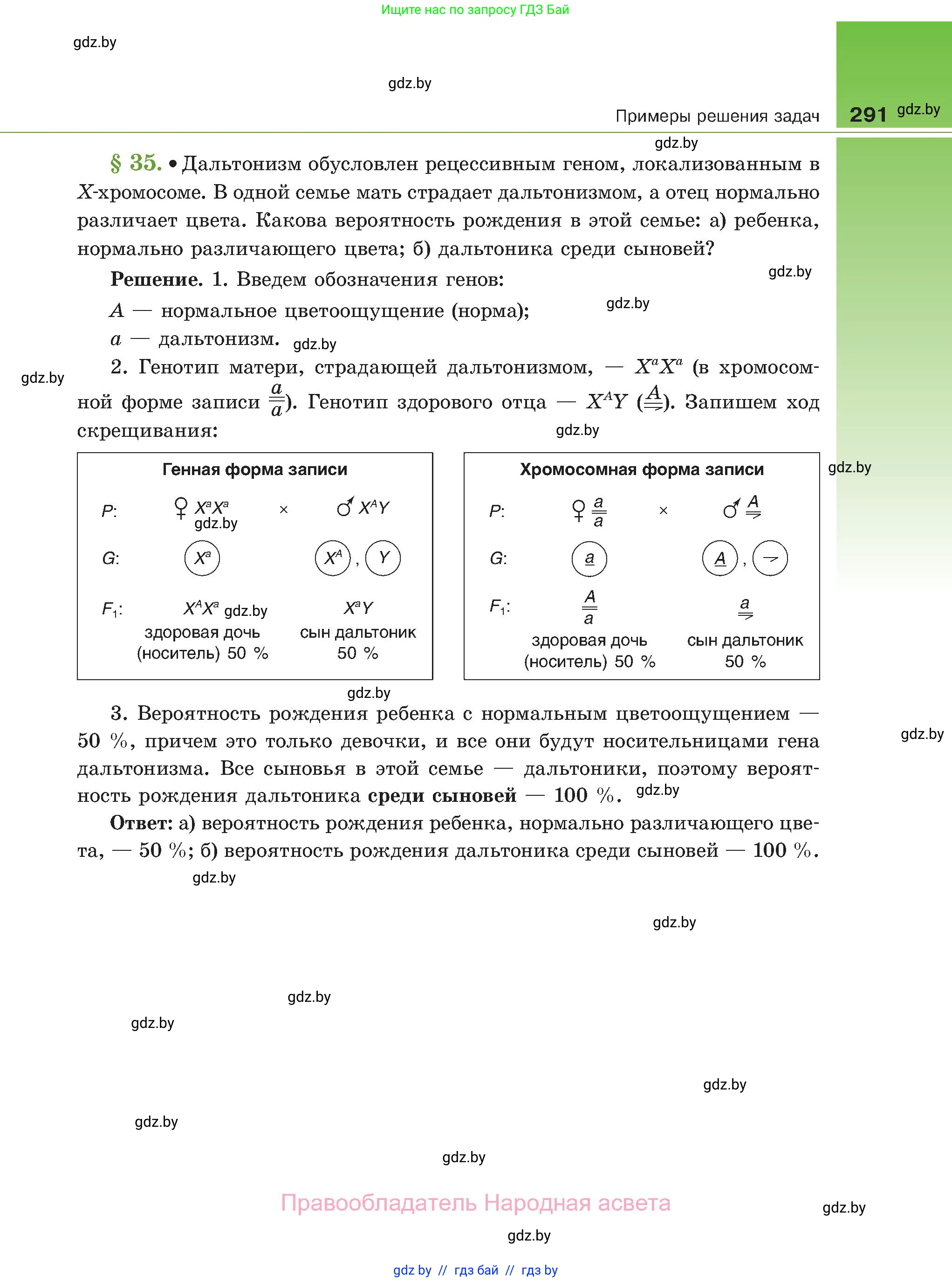 Биология, 11 класс Учебник, авторы: Дашков Максим Леонидович, Песнякевич Александр Георгиевич, Головач Алексей Михайлович, издательство Народная асвета, Минск, 2021, голубого цвета, страница 291