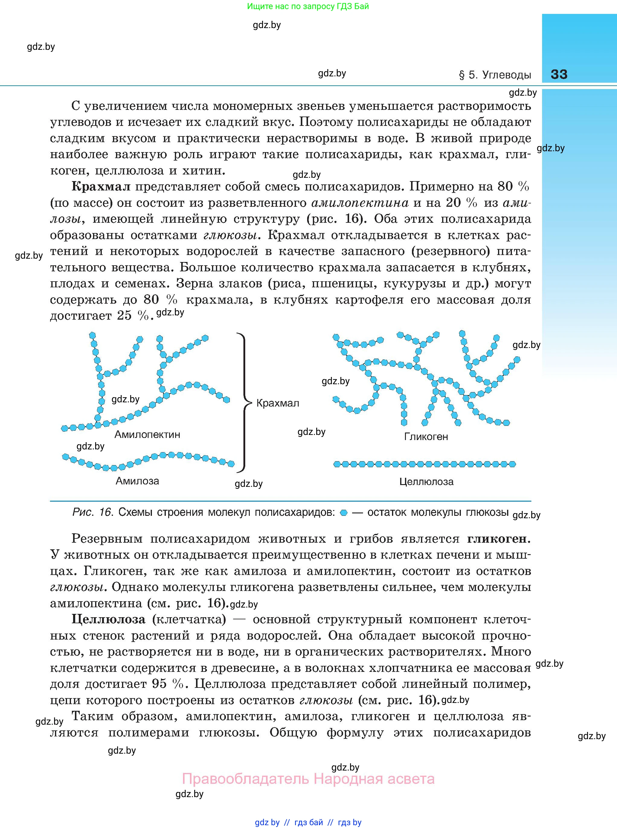 Биология, 11 класс Учебник, авторы: Дашков Максим Леонидович, Песнякевич Александр Георгиевич, Головач Алексей Михайлович, издательство Народная асвета, Минск, 2021, голубого цвета, страница 33