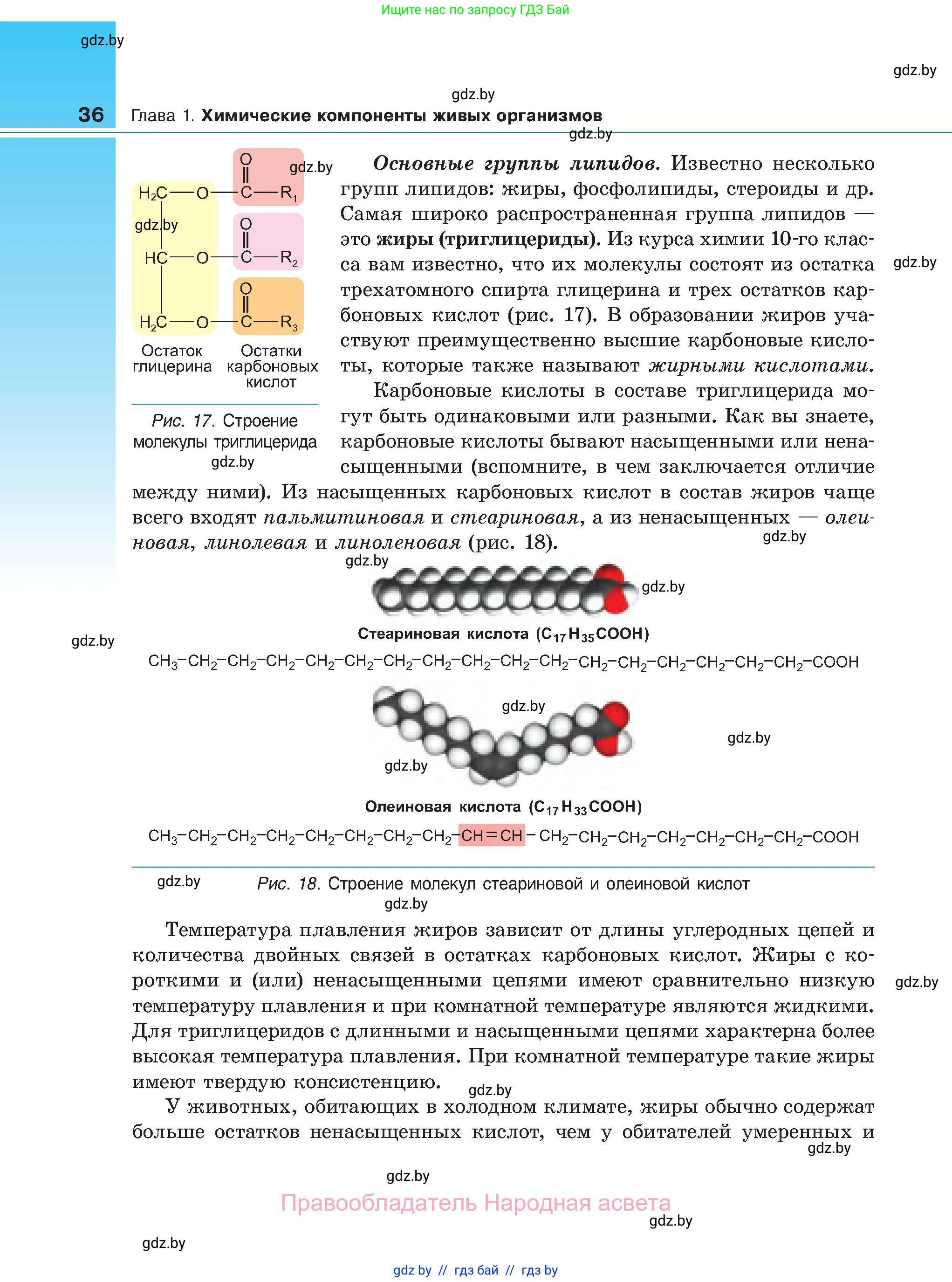 Биология, 11 класс Учебник, авторы: Дашков Максим Леонидович, Песнякевич Александр Георгиевич, Головач Алексей Михайлович, издательство Народная асвета, Минск, 2021, голубого цвета, страница 36