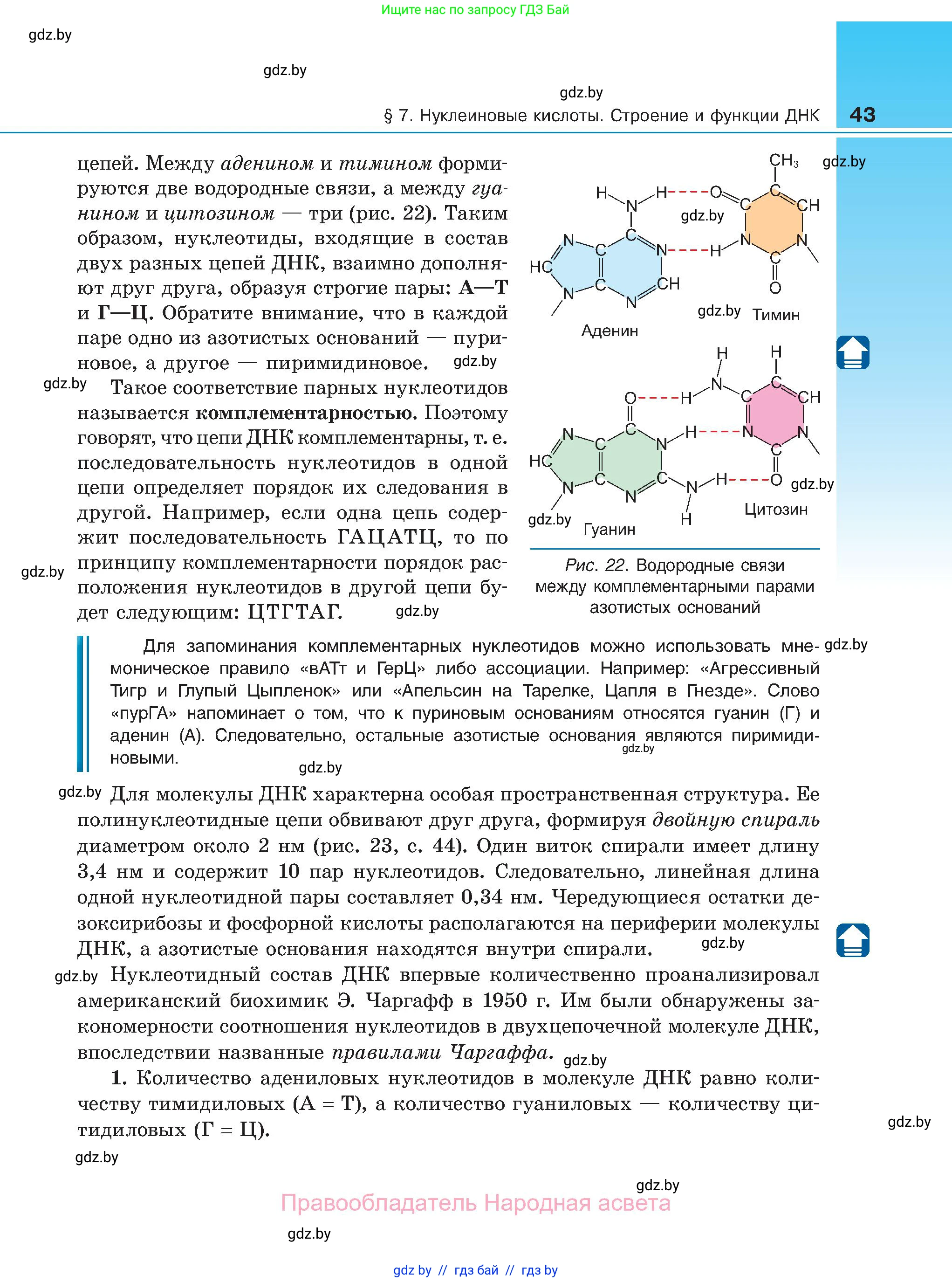 Биология, 11 класс Учебник, авторы: Дашков Максим Леонидович, Песнякевич Александр Георгиевич, Головач Алексей Михайлович, издательство Народная асвета, Минск, 2021, голубого цвета, страница 43