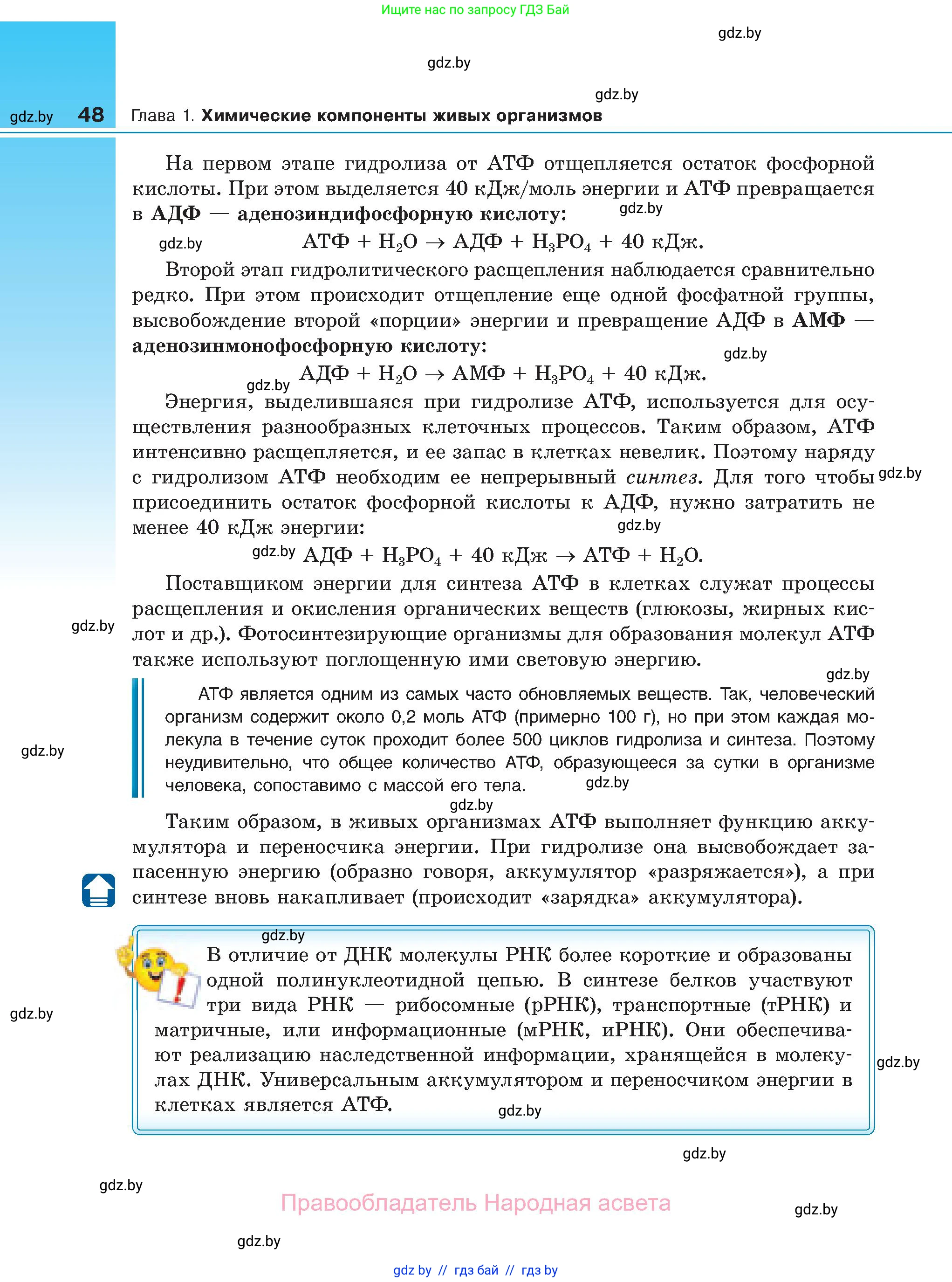 Биология, 11 класс Учебник, авторы: Дашков Максим Леонидович, Песнякевич Александр Георгиевич, Головач Алексей Михайлович, издательство Народная асвета, Минск, 2021, голубого цвета, страница 48