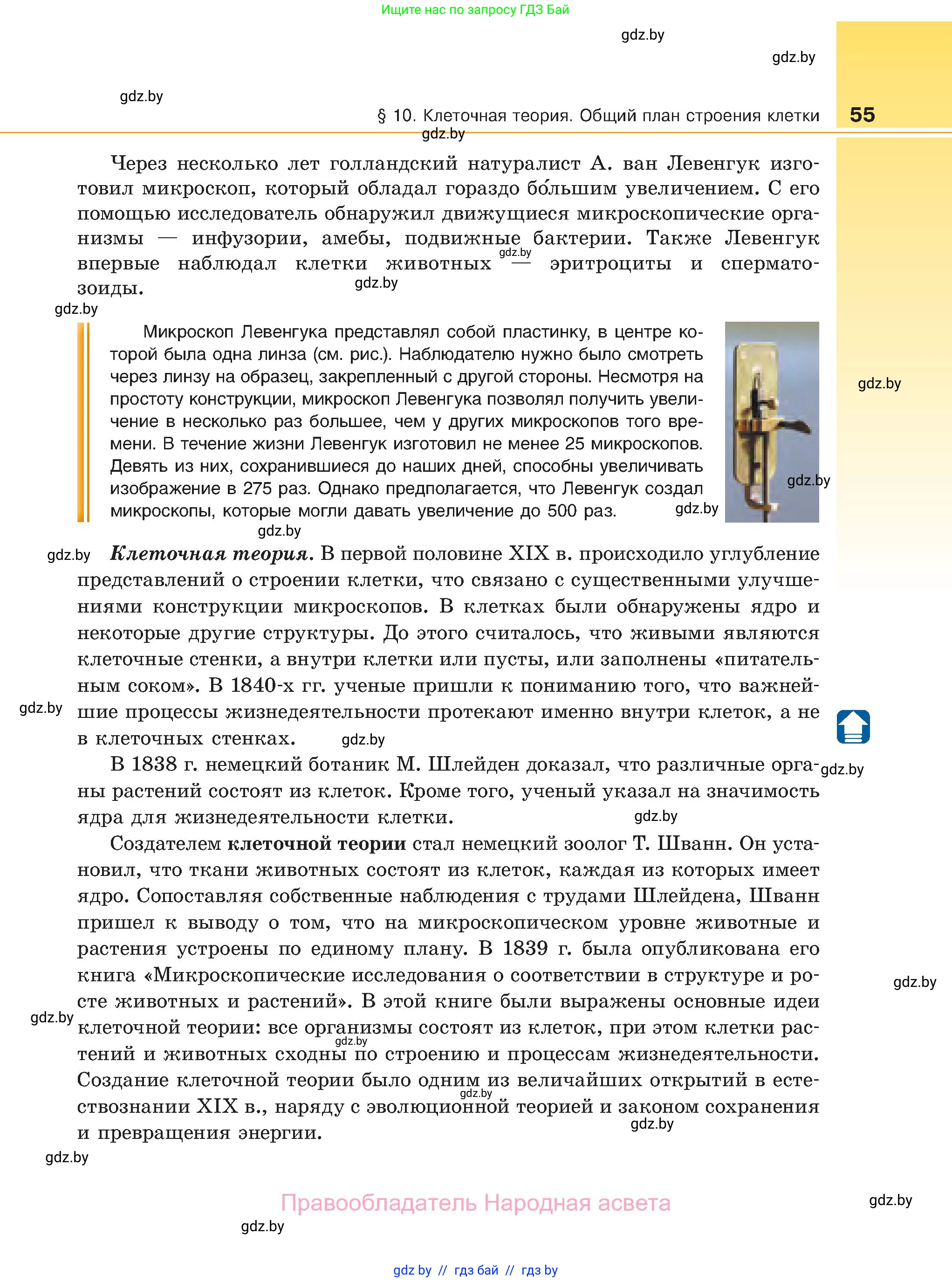Биология, 11 класс Учебник, авторы: Дашков Максим Леонидович, Песнякевич Александр Георгиевич, Головач Алексей Михайлович, издательство Народная асвета, Минск, 2021, голубого цвета, страница 55