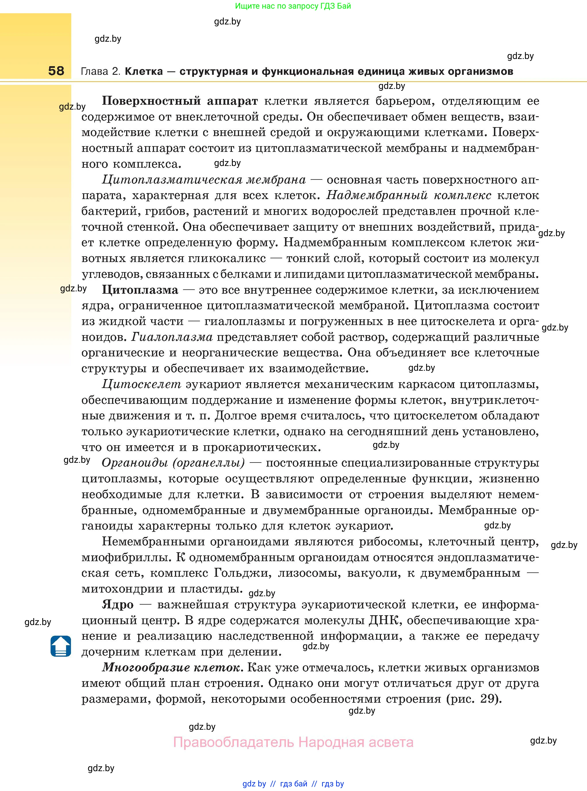 Биология, 11 класс Учебник, авторы: Дашков Максим Леонидович, Песнякевич Александр Георгиевич, Головач Алексей Михайлович, издательство Народная асвета, Минск, 2021, голубого цвета, страница 58