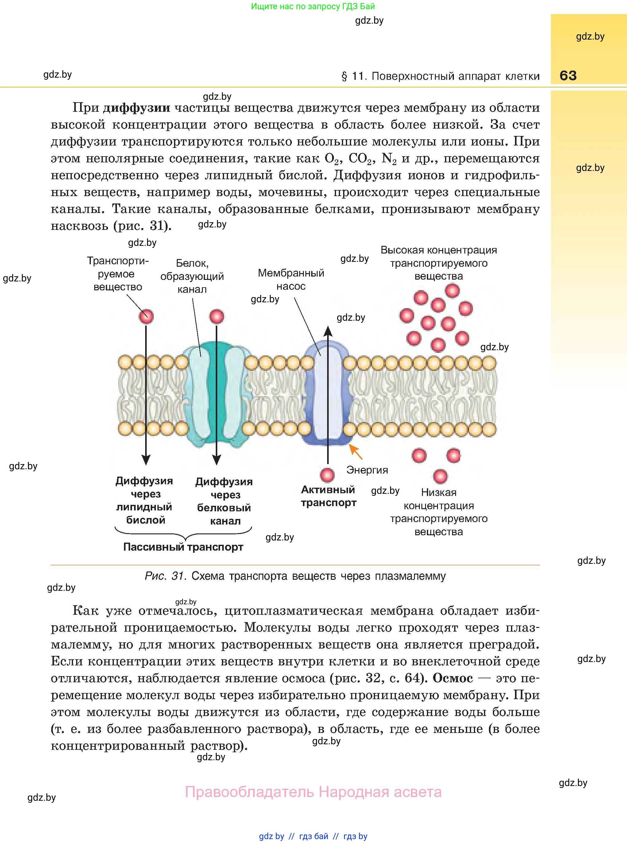 Биология, 11 класс Учебник, авторы: Дашков Максим Леонидович, Песнякевич Александр Георгиевич, Головач Алексей Михайлович, издательство Народная асвета, Минск, 2021, голубого цвета, страница 63