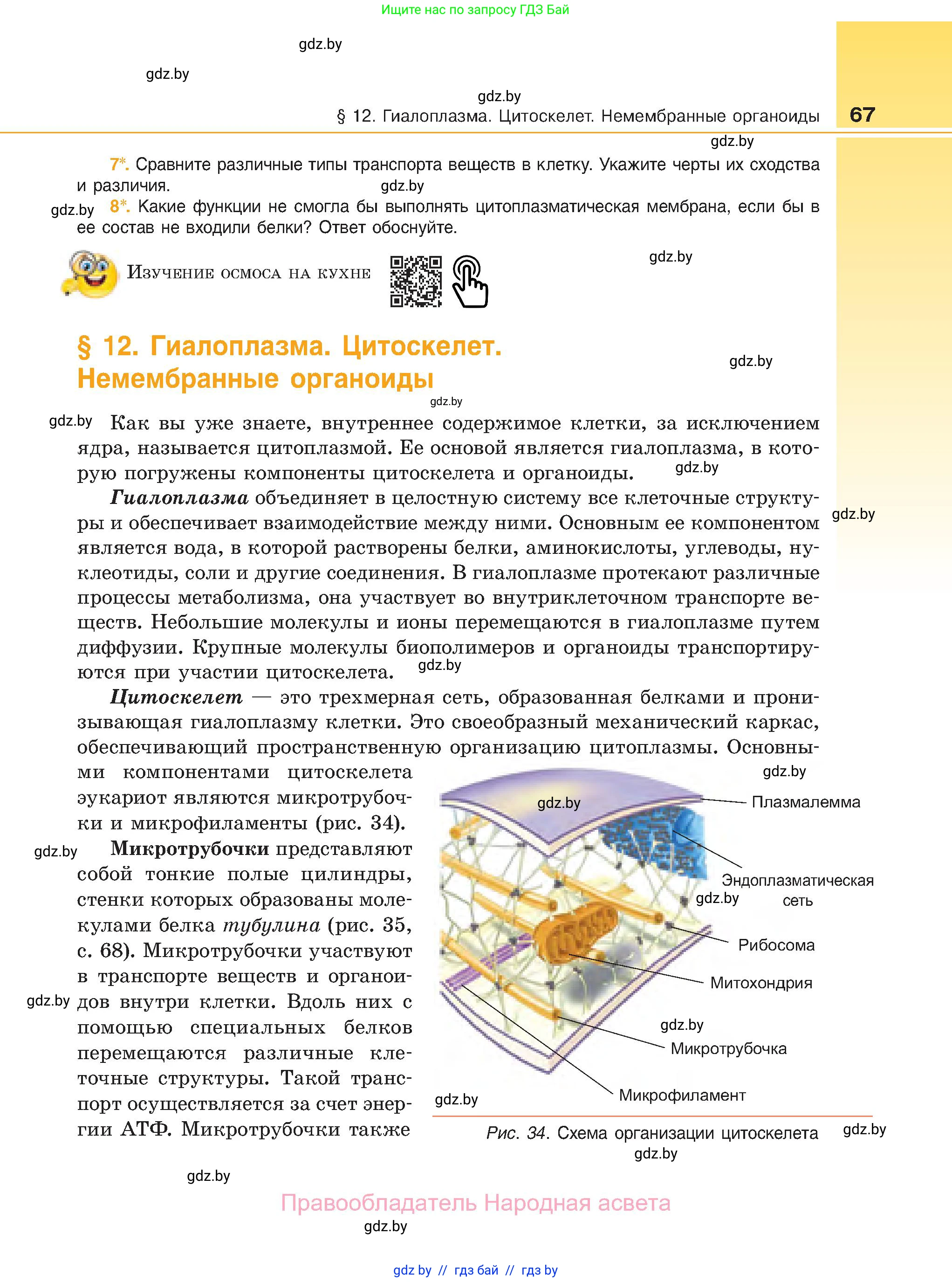 Биология, 11 класс Учебник, авторы: Дашков Максим Леонидович, Песнякевич Александр Георгиевич, Головач Алексей Михайлович, издательство Народная асвета, Минск, 2021, голубого цвета, страница 67