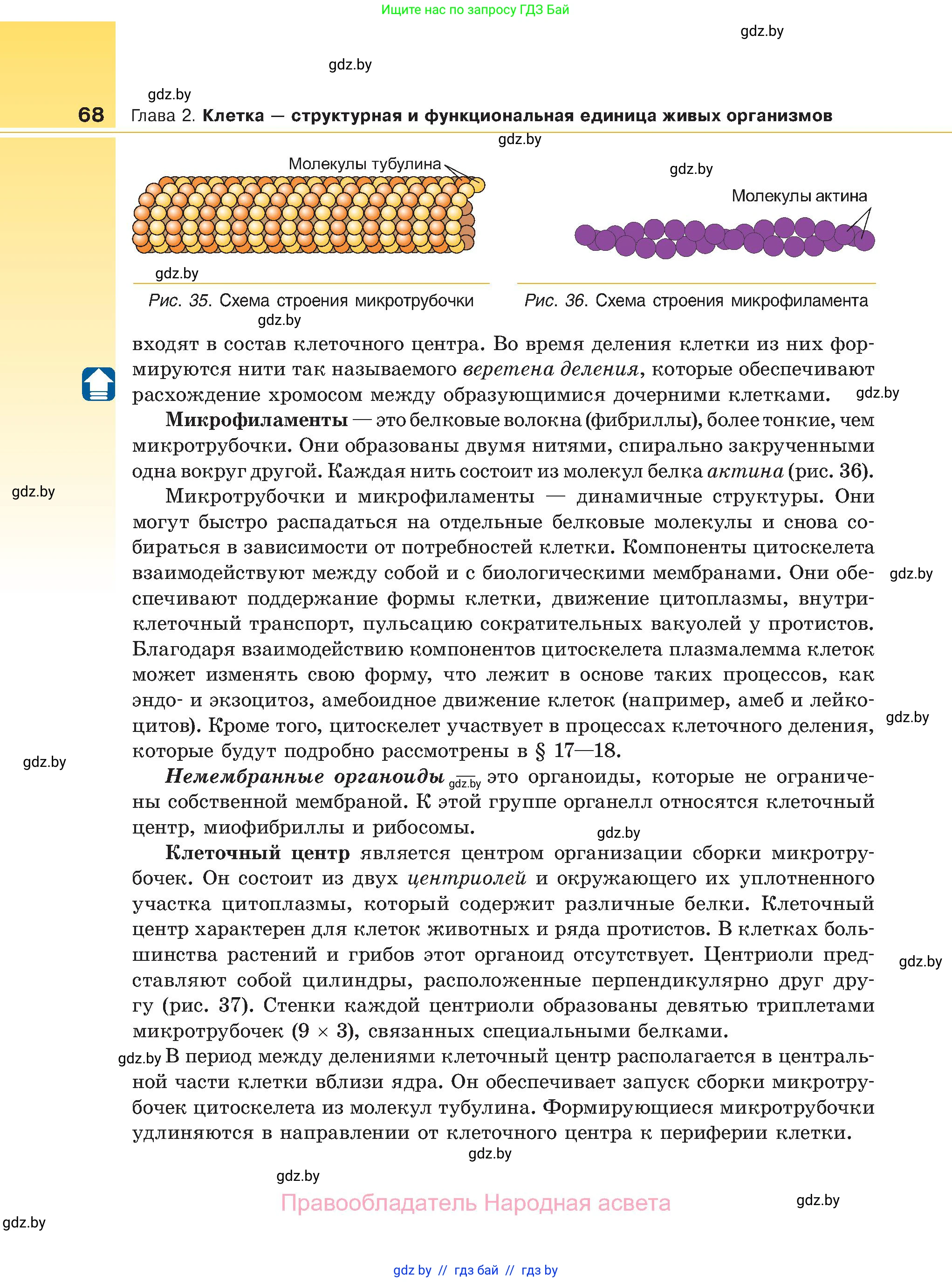 Биология, 11 класс Учебник, авторы: Дашков Максим Леонидович, Песнякевич Александр Георгиевич, Головач Алексей Михайлович, издательство Народная асвета, Минск, 2021, голубого цвета, страница 68
