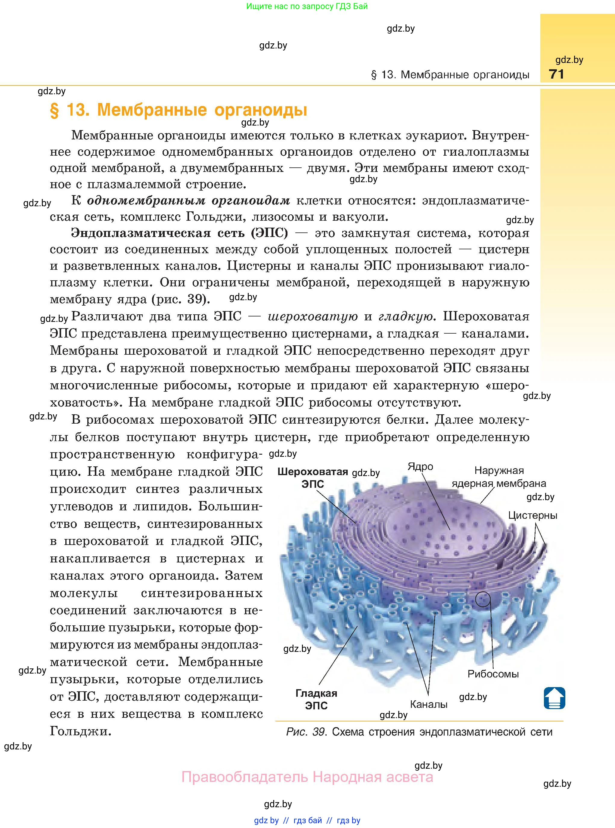 Биология, 11 класс Учебник, авторы: Дашков Максим Леонидович, Песнякевич Александр Георгиевич, Головач Алексей Михайлович, издательство Народная асвета, Минск, 2021, голубого цвета, страница 71