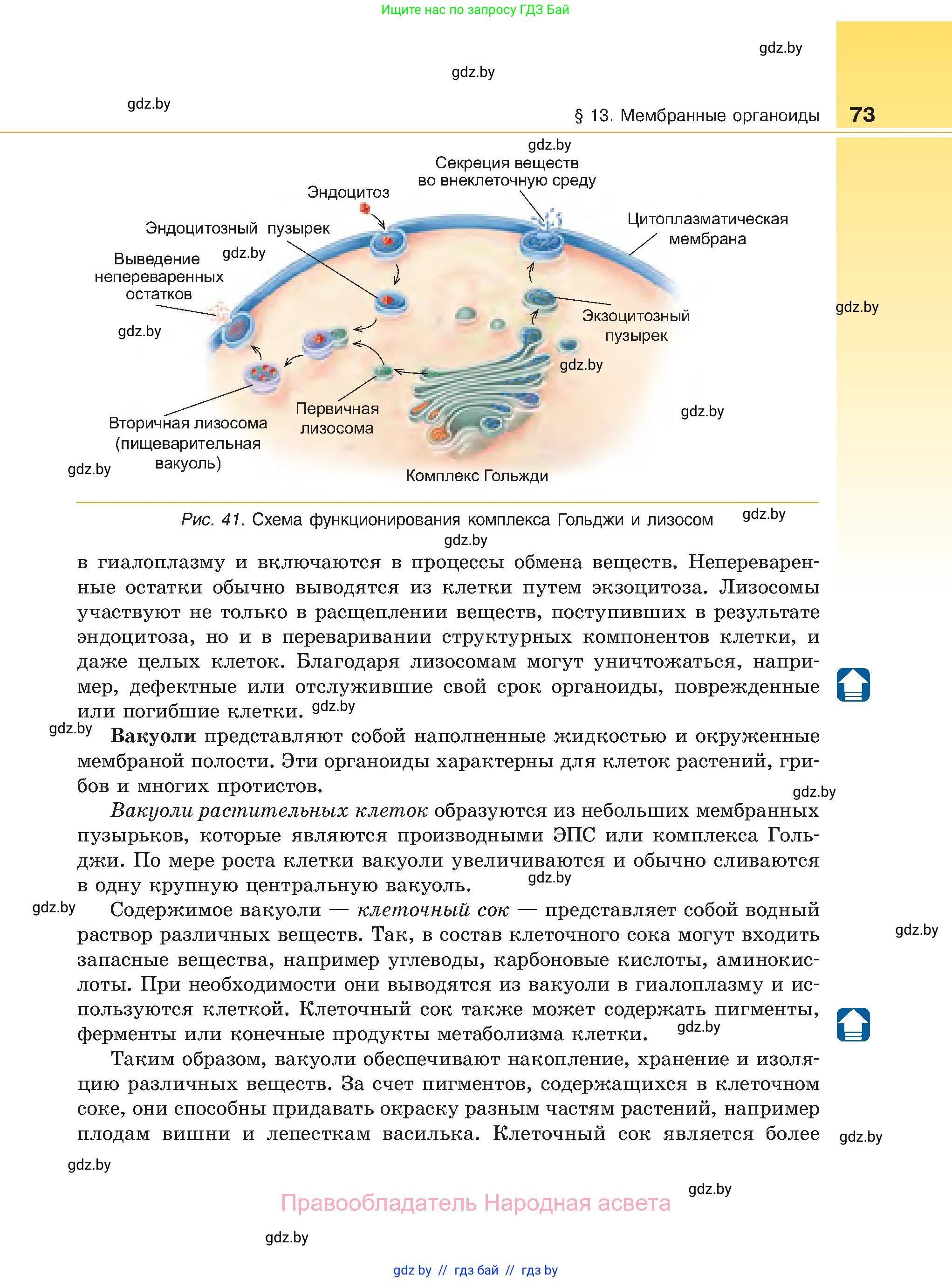 Биология, 11 класс Учебник, авторы: Дашков Максим Леонидович, Песнякевич Александр Георгиевич, Головач Алексей Михайлович, издательство Народная асвета, Минск, 2021, голубого цвета, страница 73
