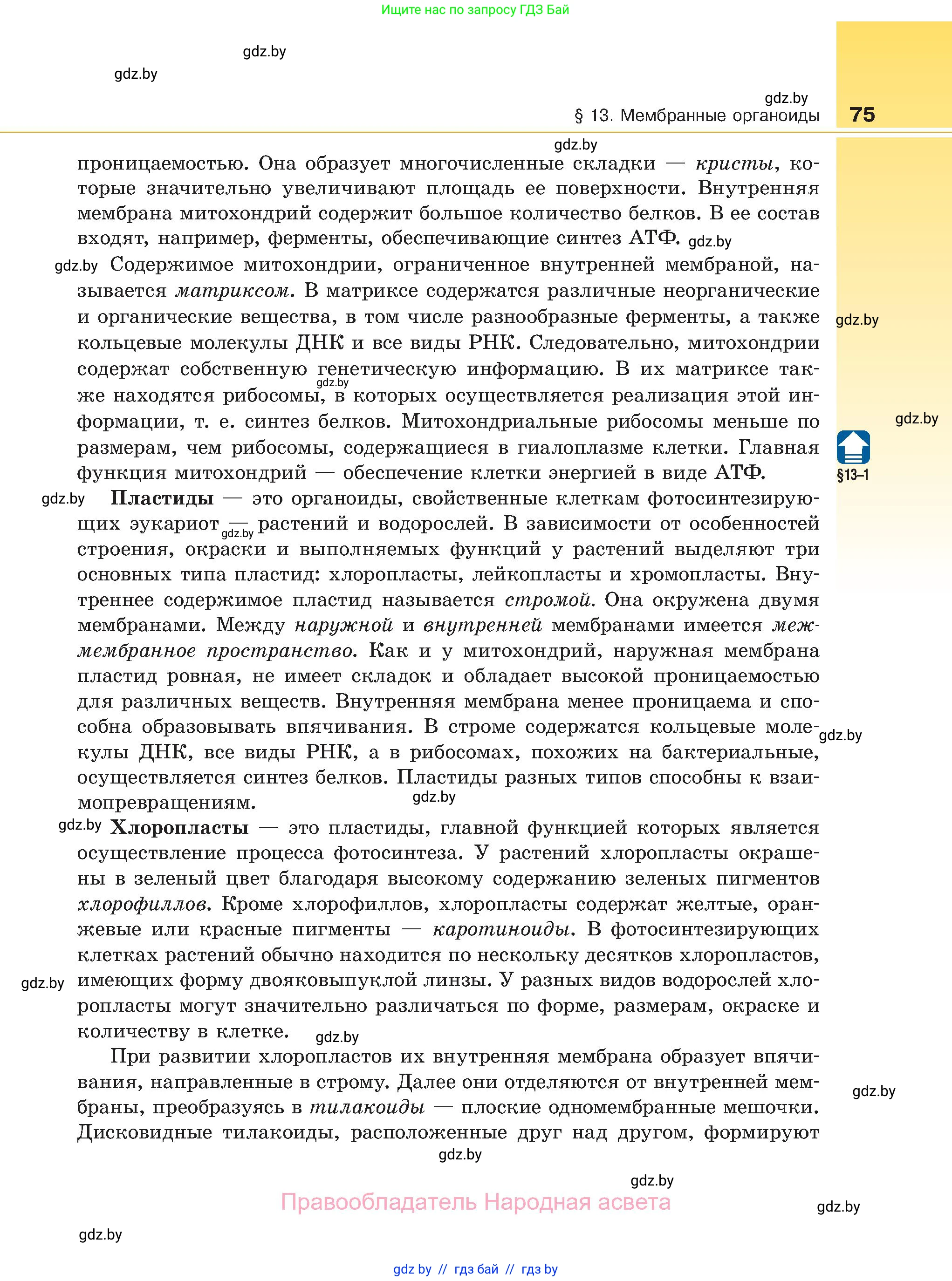 Биология, 11 класс Учебник, авторы: Дашков Максим Леонидович, Песнякевич Александр Георгиевич, Головач Алексей Михайлович, издательство Народная асвета, Минск, 2021, голубого цвета, страница 75