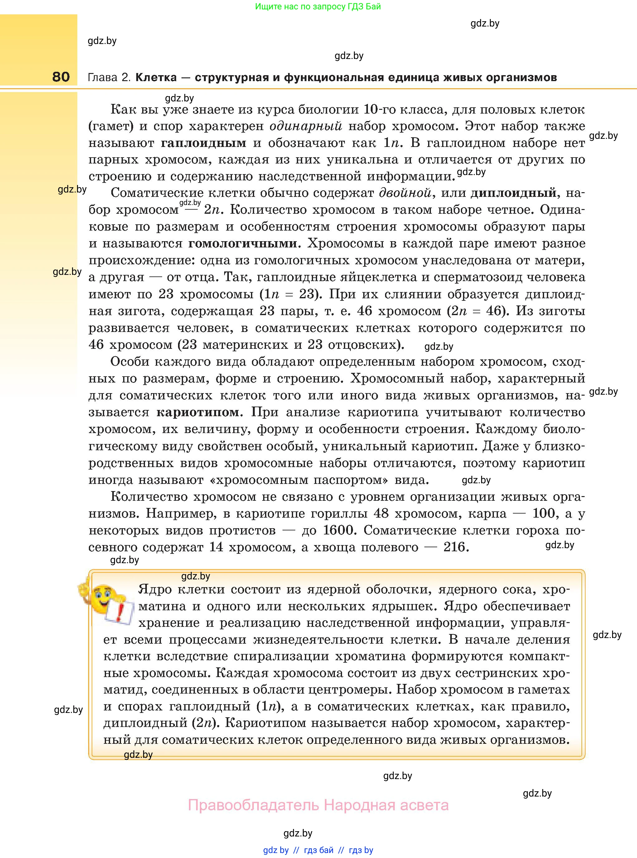 Биология, 11 класс Учебник, авторы: Дашков Максим Леонидович, Песнякевич Александр Георгиевич, Головач Алексей Михайлович, издательство Народная асвета, Минск, 2021, голубого цвета, страница 80