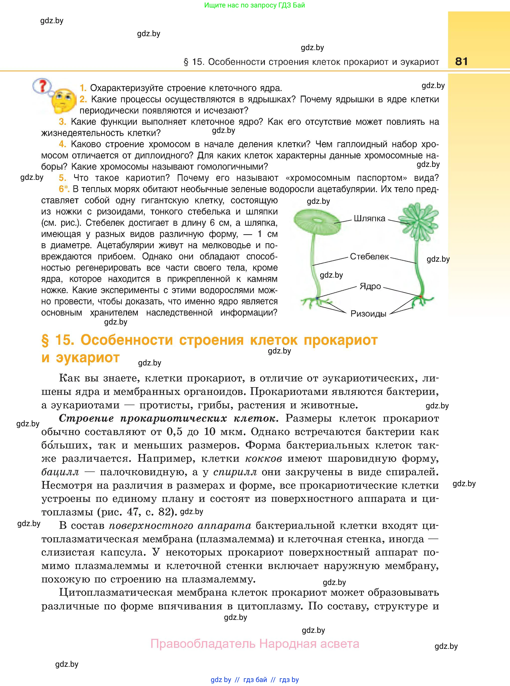 Биология, 11 класс Учебник, авторы: Дашков Максим Леонидович, Песнякевич Александр Георгиевич, Головач Алексей Михайлович, издательство Народная асвета, Минск, 2021, голубого цвета, страница 81