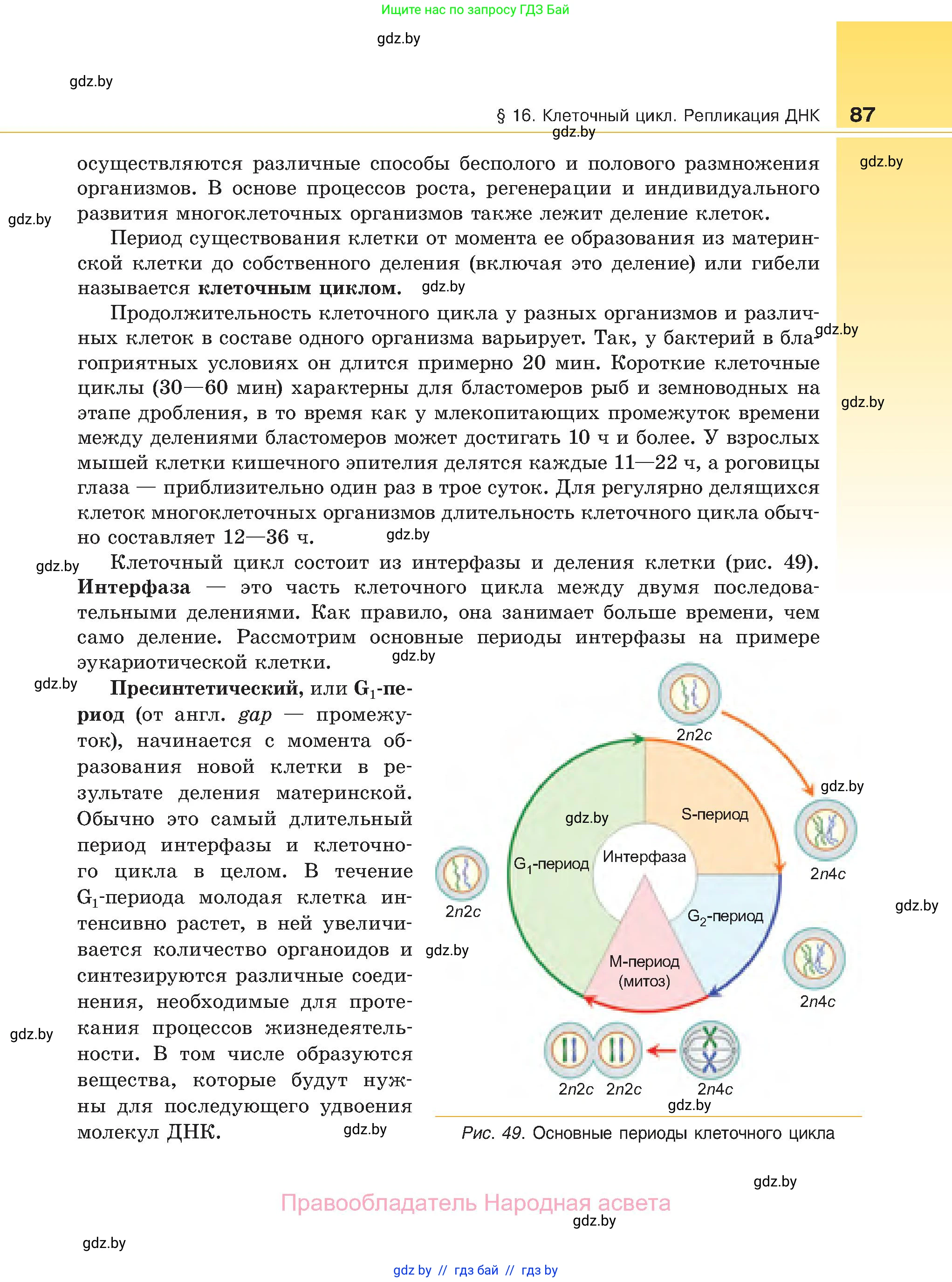 Биология, 11 класс Учебник, авторы: Дашков Максим Леонидович, Песнякевич Александр Георгиевич, Головач Алексей Михайлович, издательство Народная асвета, Минск, 2021, голубого цвета, страница 87