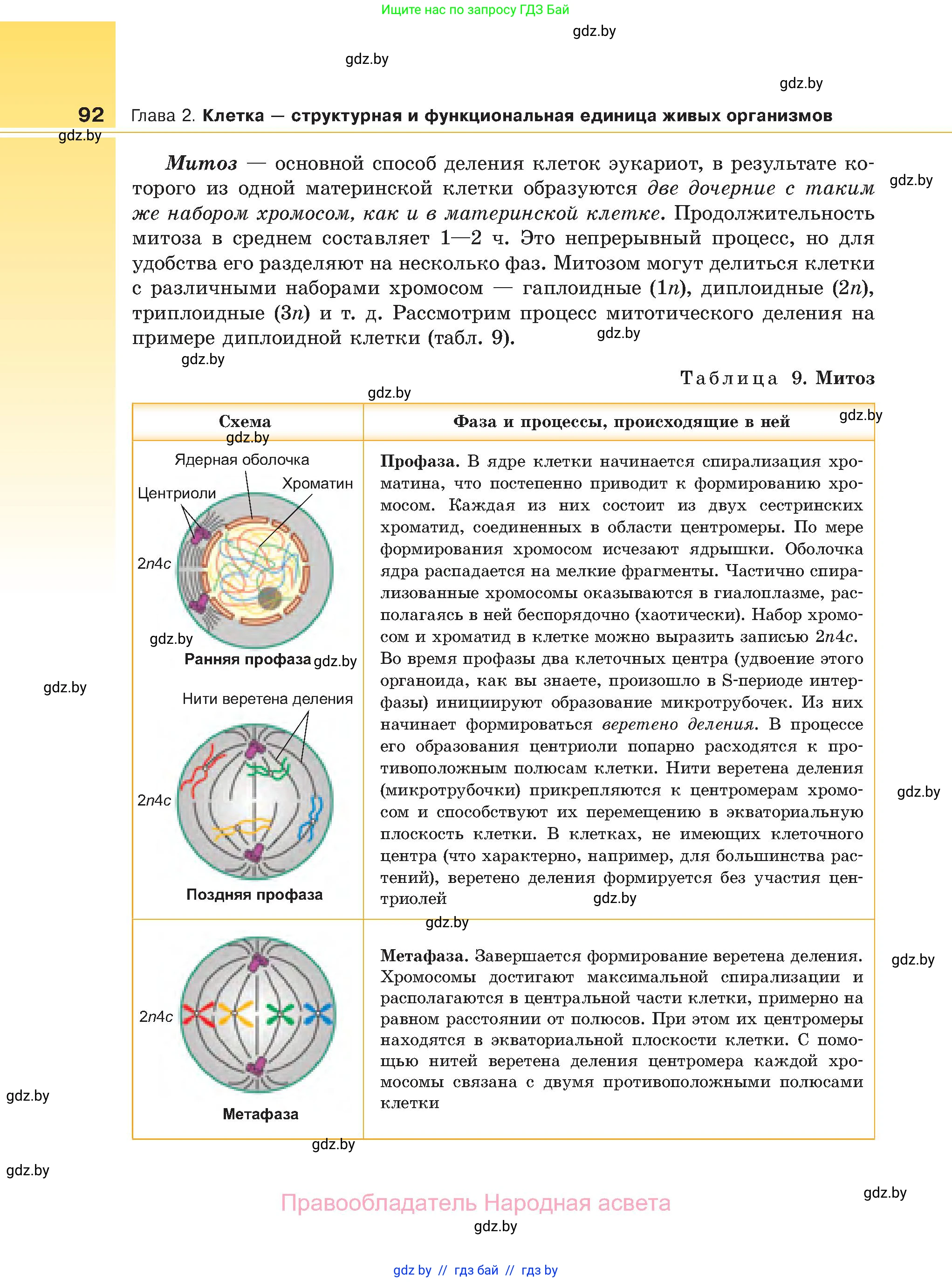 Биология, 11 класс Учебник, авторы: Дашков Максим Леонидович, Песнякевич Александр Георгиевич, Головач Алексей Михайлович, издательство Народная асвета, Минск, 2021, голубого цвета, страница 92