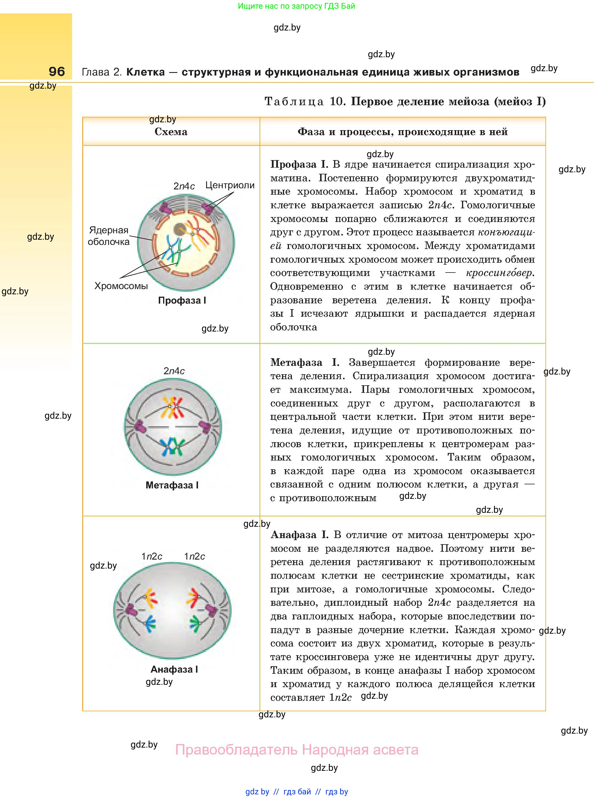 Биология, 11 класс Учебник, авторы: Дашков Максим Леонидович, Песнякевич Александр Георгиевич, Головач Алексей Михайлович, издательство Народная асвета, Минск, 2021, голубого цвета, страница 96
