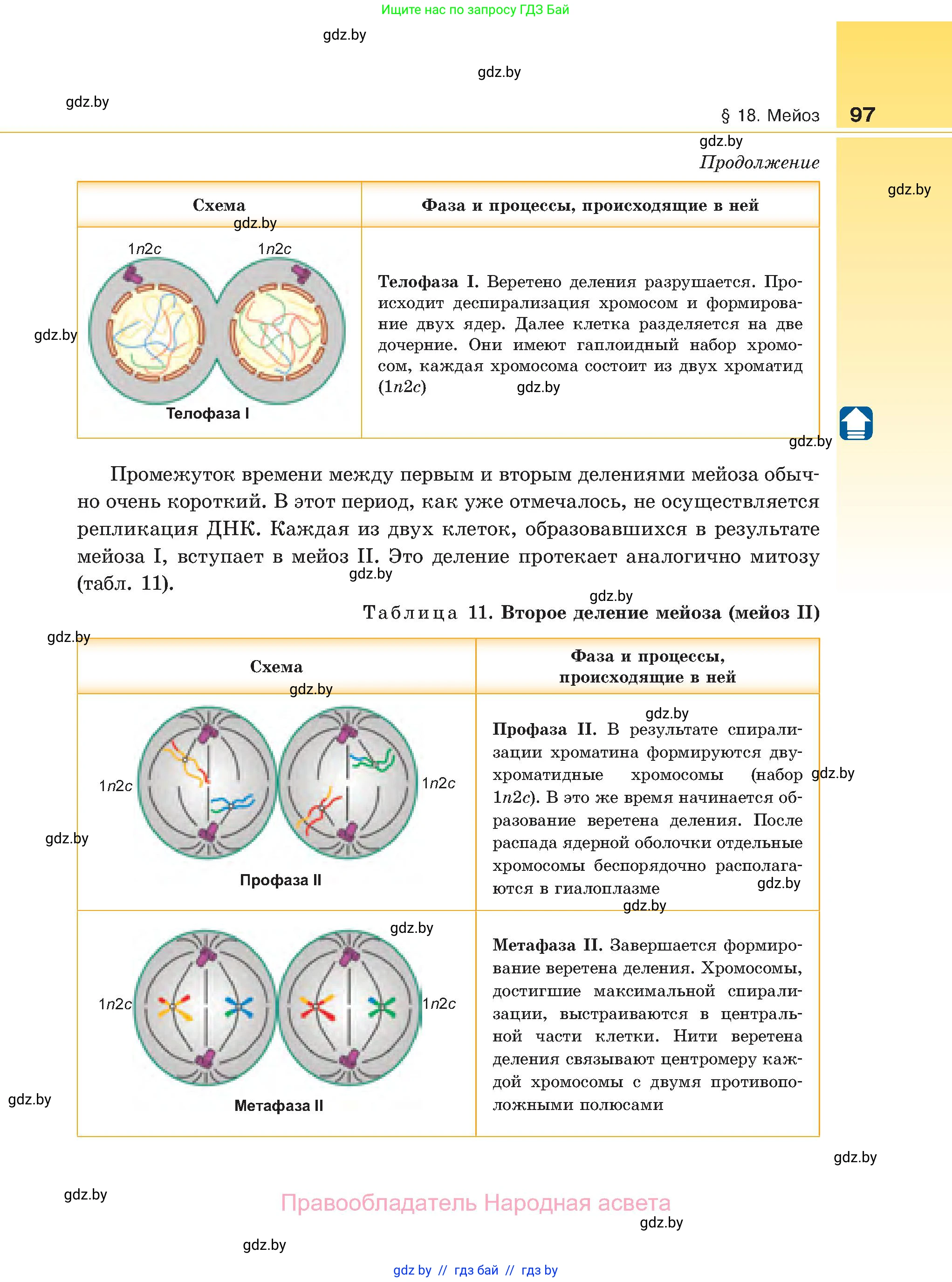 Биология, 11 класс Учебник, авторы: Дашков Максим Леонидович, Песнякевич Александр Георгиевич, Головач Алексей Михайлович, издательство Народная асвета, Минск, 2021, голубого цвета, страница 97