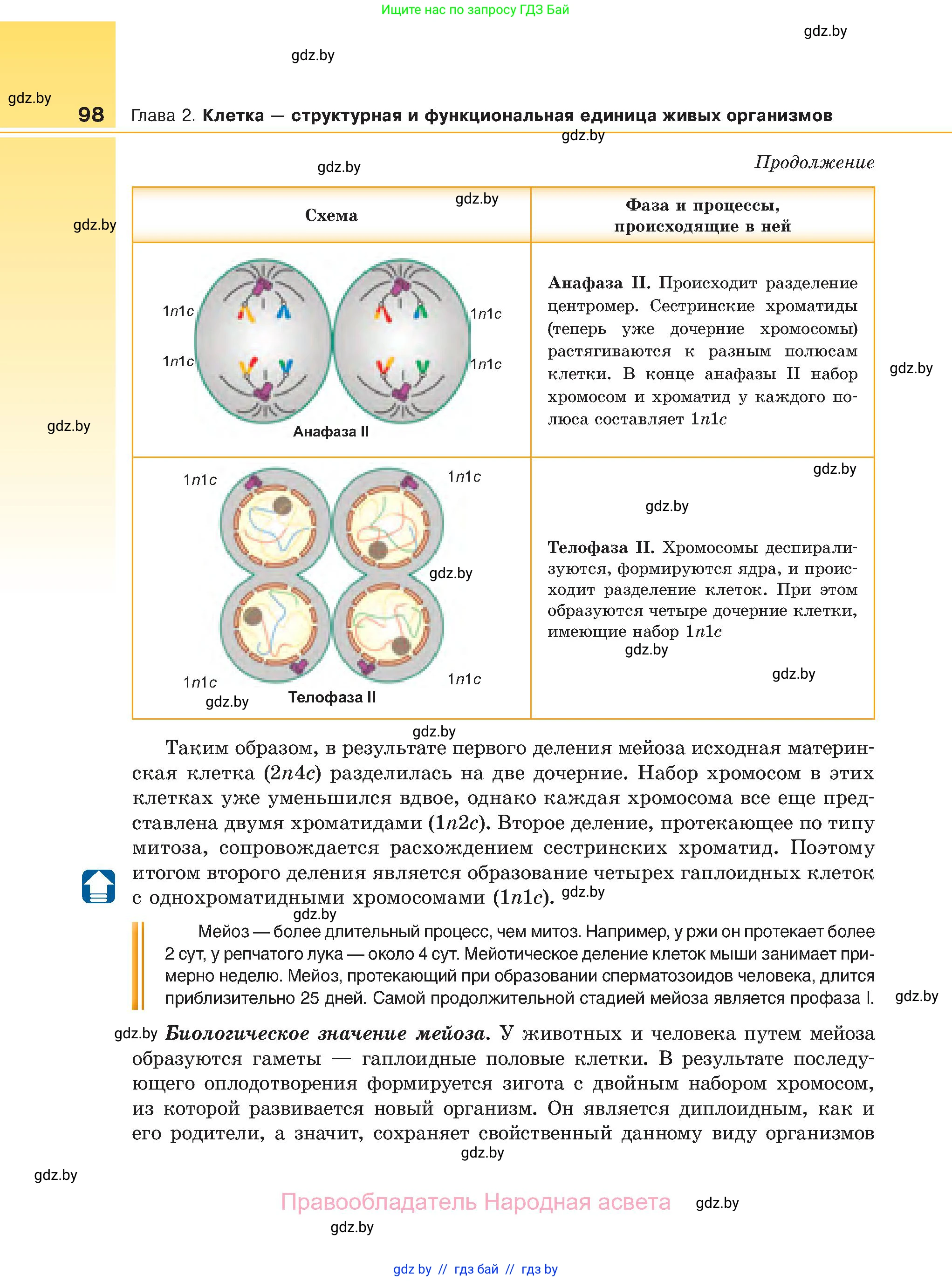 Биология, 11 класс Учебник, авторы: Дашков Максим Леонидович, Песнякевич Александр Георгиевич, Головач Алексей Михайлович, издательство Народная асвета, Минск, 2021, голубого цвета, страница 98