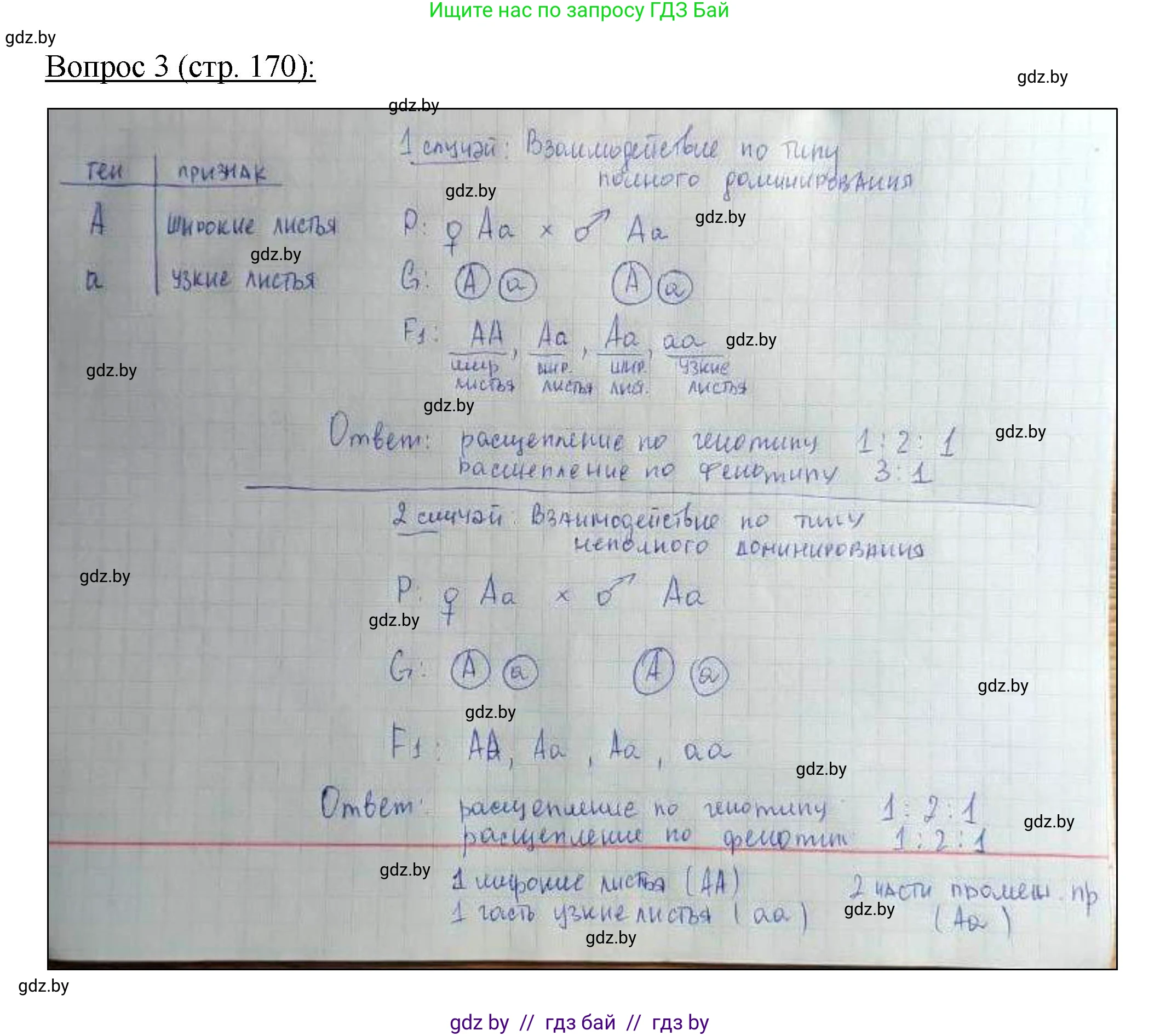 Биология, 11 класс Учебник, авторы: Дашков Максим Леонидович, Песнякевич Александр Георгиевич, Головач Алексей Михайлович, издательство Народная асвета, Минск, 2021, голубого цвета, страница 170, номер 3, Решение