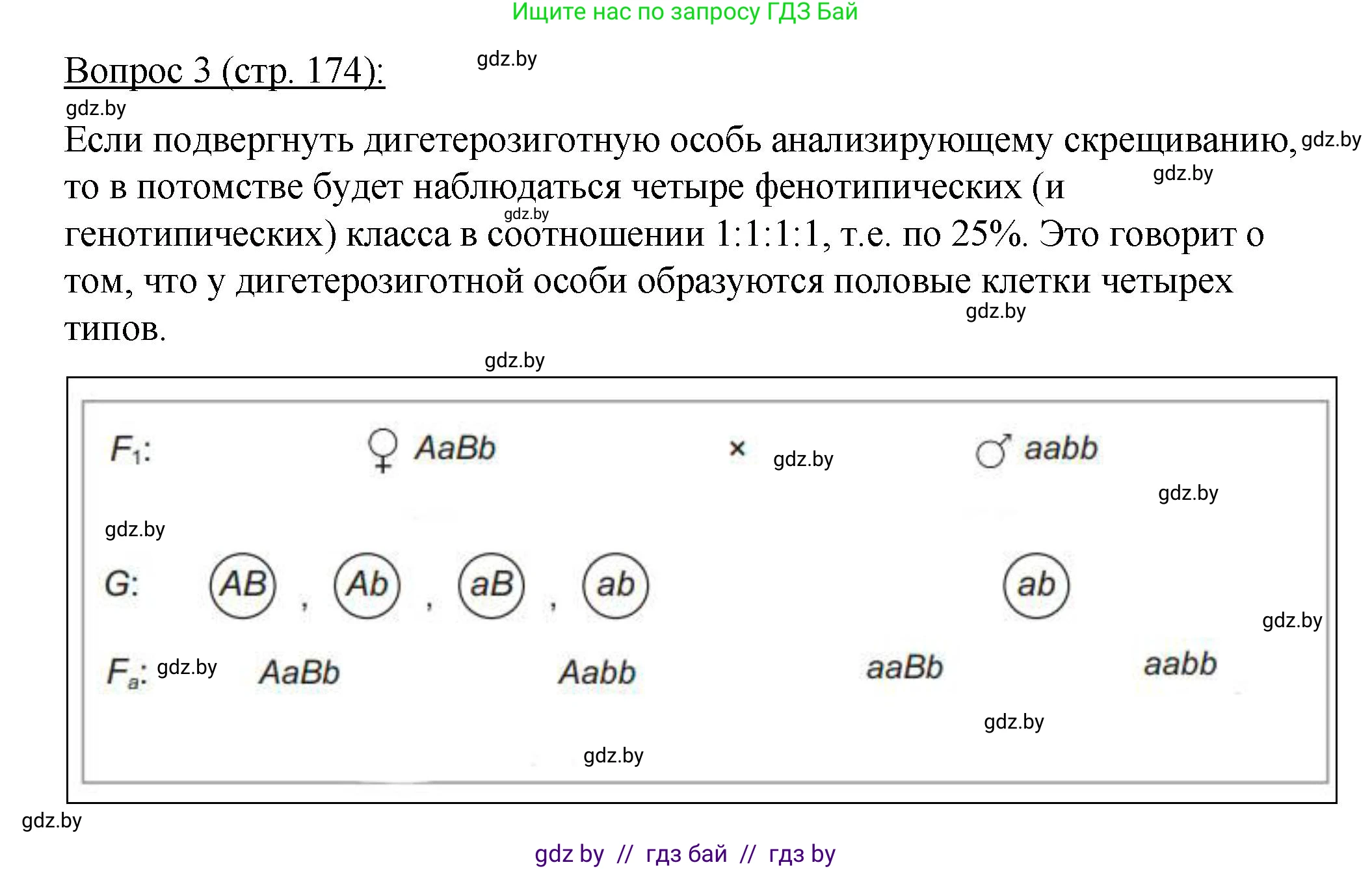 Биология, 11 класс Учебник, авторы: Дашков Максим Леонидович, Песнякевич Александр Георгиевич, Головач Алексей Михайлович, издательство Народная асвета, Минск, 2021, голубого цвета, страница 174, номер 3, Решение