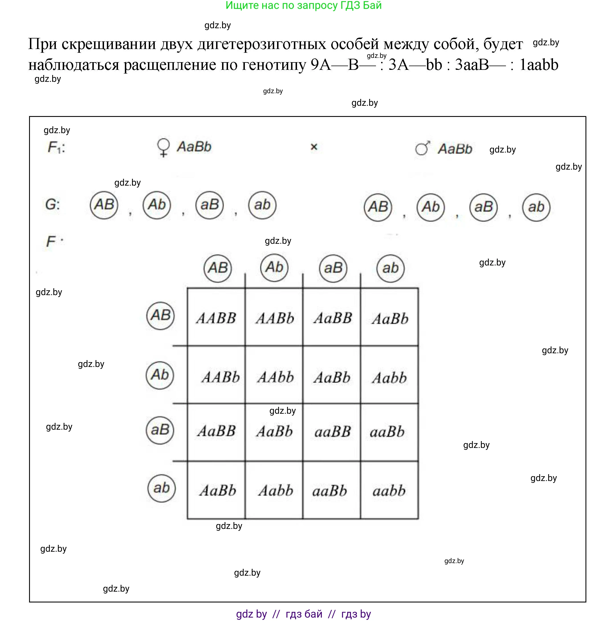 Биология, 11 класс Учебник, авторы: Дашков Максим Леонидович, Песнякевич Александр Георгиевич, Головач Алексей Михайлович, издательство Народная асвета, Минск, 2021, голубого цвета, страница 174, номер 3, Решение (продолжение 2)