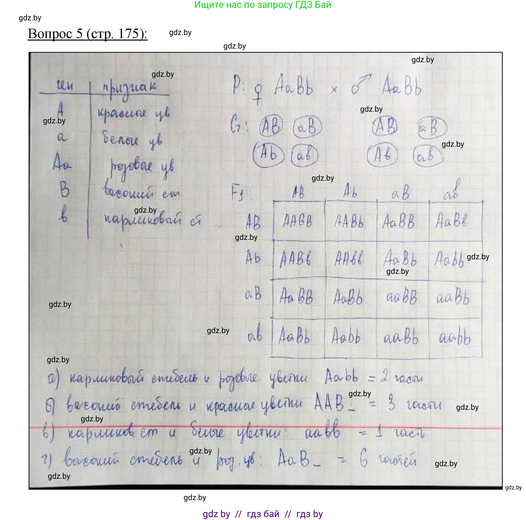 Биология, 11 класс Учебник, авторы: Дашков Максим Леонидович, Песнякевич Александр Георгиевич, Головач Алексей Михайлович, издательство Народная асвета, Минск, 2021, голубого цвета, страница 175, номер 5, Решение