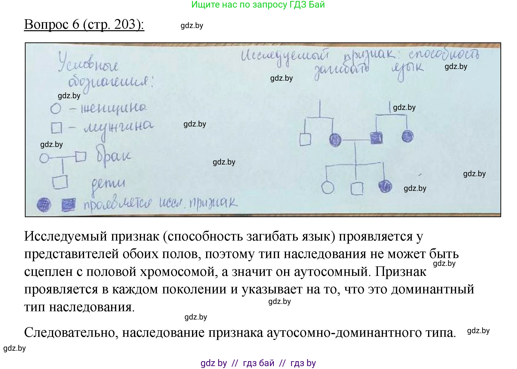 Биология, 11 класс Учебник, авторы: Дашков Максим Леонидович, Песнякевич Александр Георгиевич, Головач Алексей Михайлович, издательство Народная асвета, Минск, 2021, голубого цвета, страница 203, номер 6, Решение