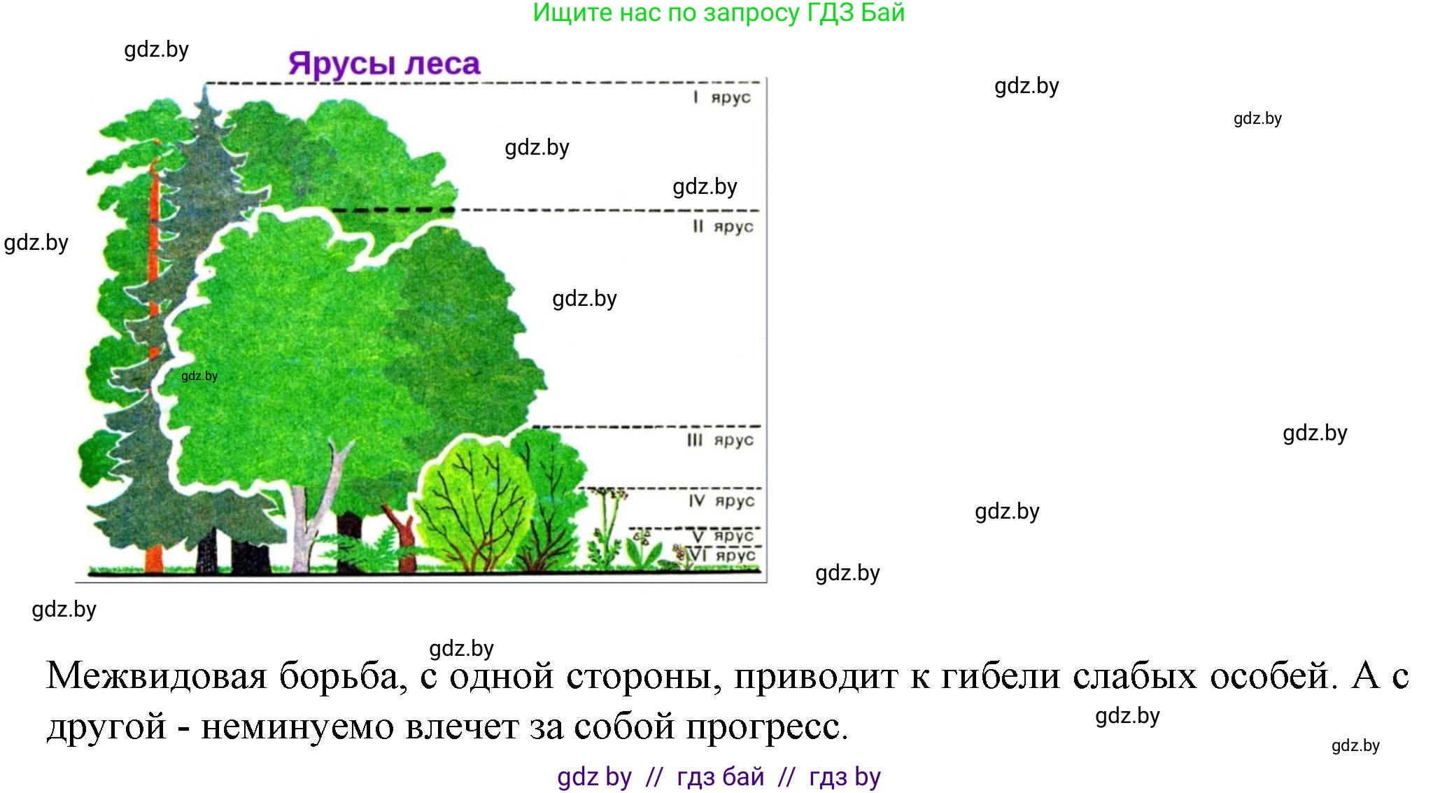 Биология, 11 класс Тетрадь для лабораторных и практических работ, автор: Хруцкая Тамара Викторовна, издательство Аверсэв, Минск, 2021, жёлтого цвета, страница 94, номер 5, Решение