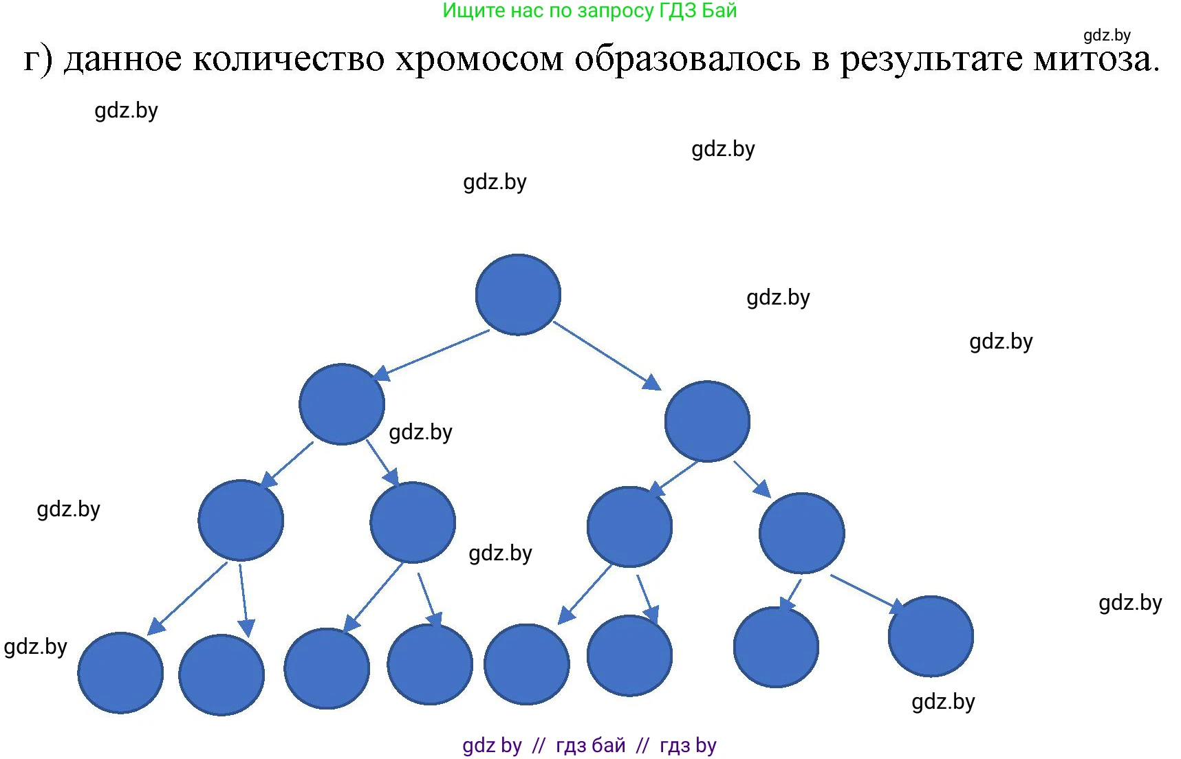 Биология, 11 класс Тетрадь для лабораторных и практических работ, автор: Хруцкая Тамара Викторовна, издательство Аверсэв, Минск, 2021, жёлтого цвета, страница 36, номер 3, Решение (продолжение 2)