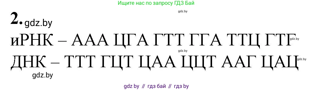 Биология, 11 класс Тетрадь для лабораторных и практических работ, автор: Хруцкая Тамара Викторовна, издательство Аверсэв, Минск, 2021, жёлтого цвета, страница 51, номер 2, Решение