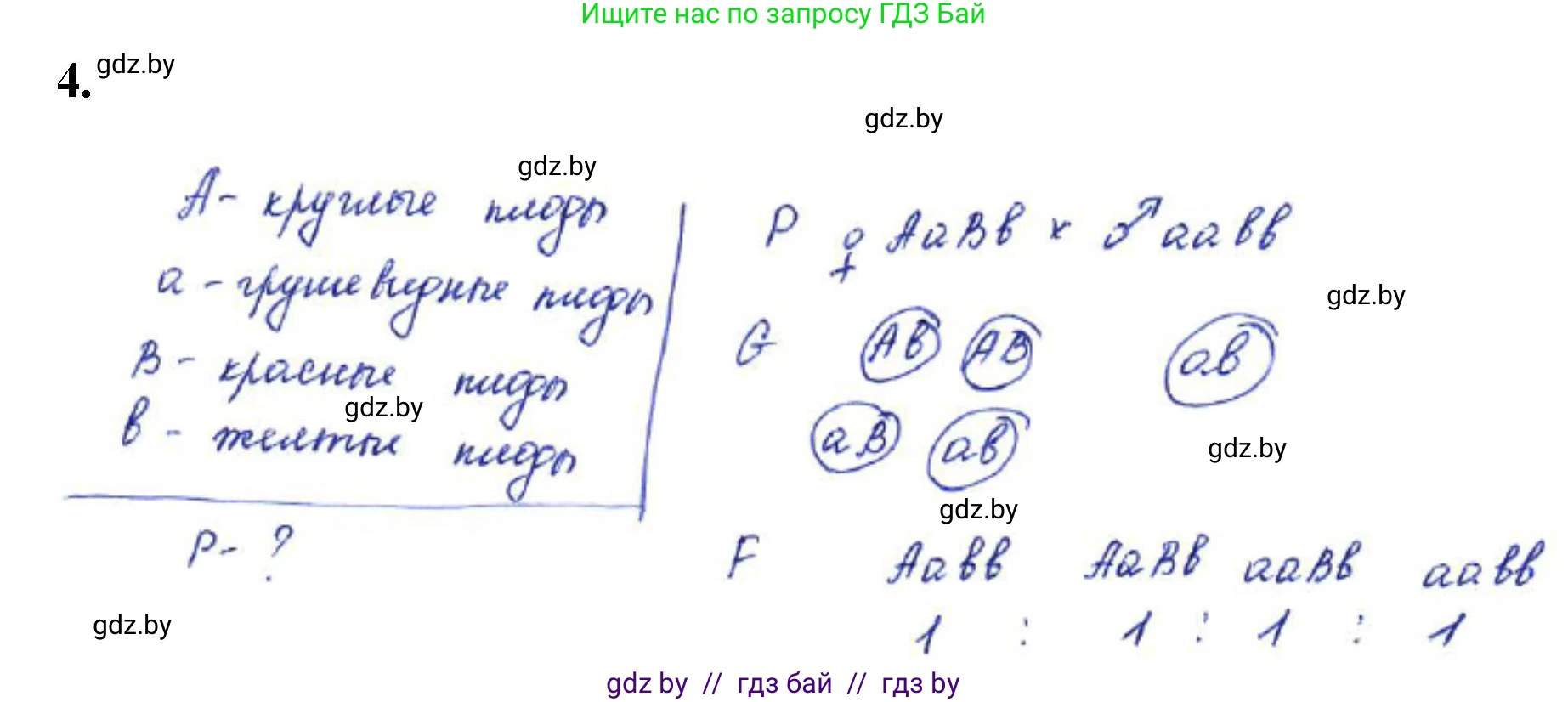 Биология, 11 класс Тетрадь для лабораторных и практических работ, автор: Хруцкая Тамара Викторовна, издательство Аверсэв, Минск, 2021, жёлтого цвета, страница 61, номер 4, Решение