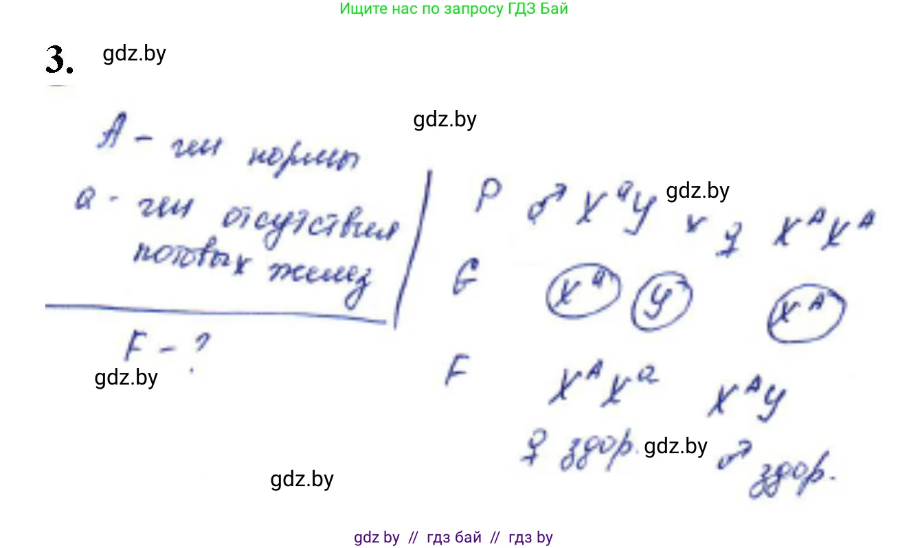 Биология, 11 класс Тетрадь для лабораторных и практических работ, автор: Хруцкая Тамара Викторовна, издательство Аверсэв, Минск, 2021, жёлтого цвета, страница 72, номер 3, Решение