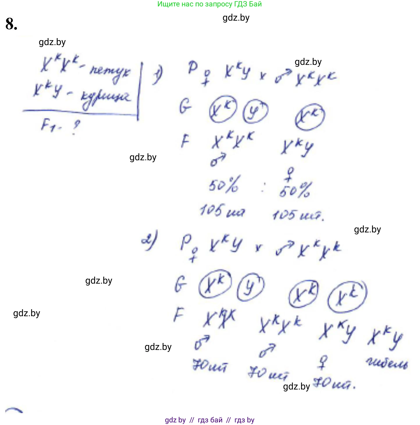 Биология, 11 класс Тетрадь для лабораторных и практических работ, автор: Хруцкая Тамара Викторовна, издательство Аверсэв, Минск, 2021, жёлтого цвета, страница 75, номер 8, Решение
