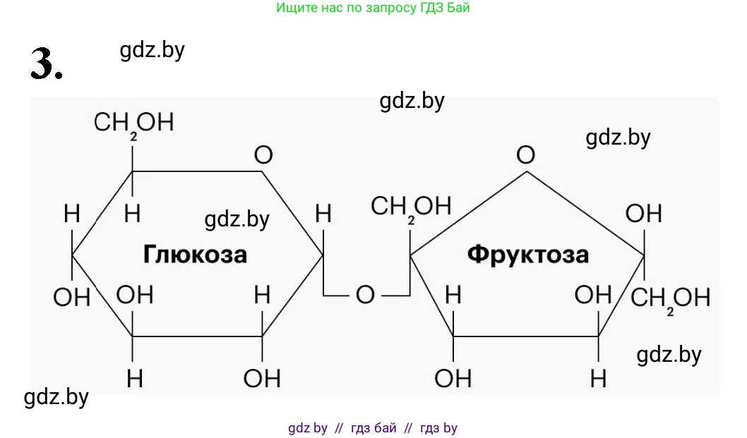 Биология, 11 класс рабочая тетрадь, автор: Хруцкая Тамара Викторовна, издательство Аверсэв, Минск, 2021, зелёного цвета, страница 11, номер 3, Решение