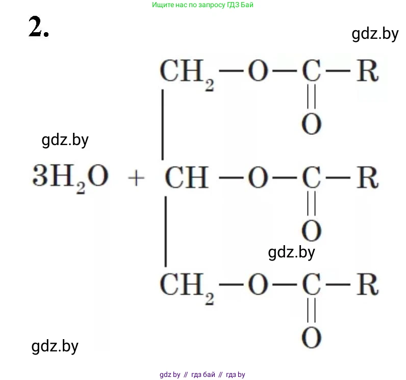 Биология, 11 класс рабочая тетрадь, автор: Хруцкая Тамара Викторовна, издательство Аверсэв, Минск, 2021, зелёного цвета, страница 13, номер 2, Решение