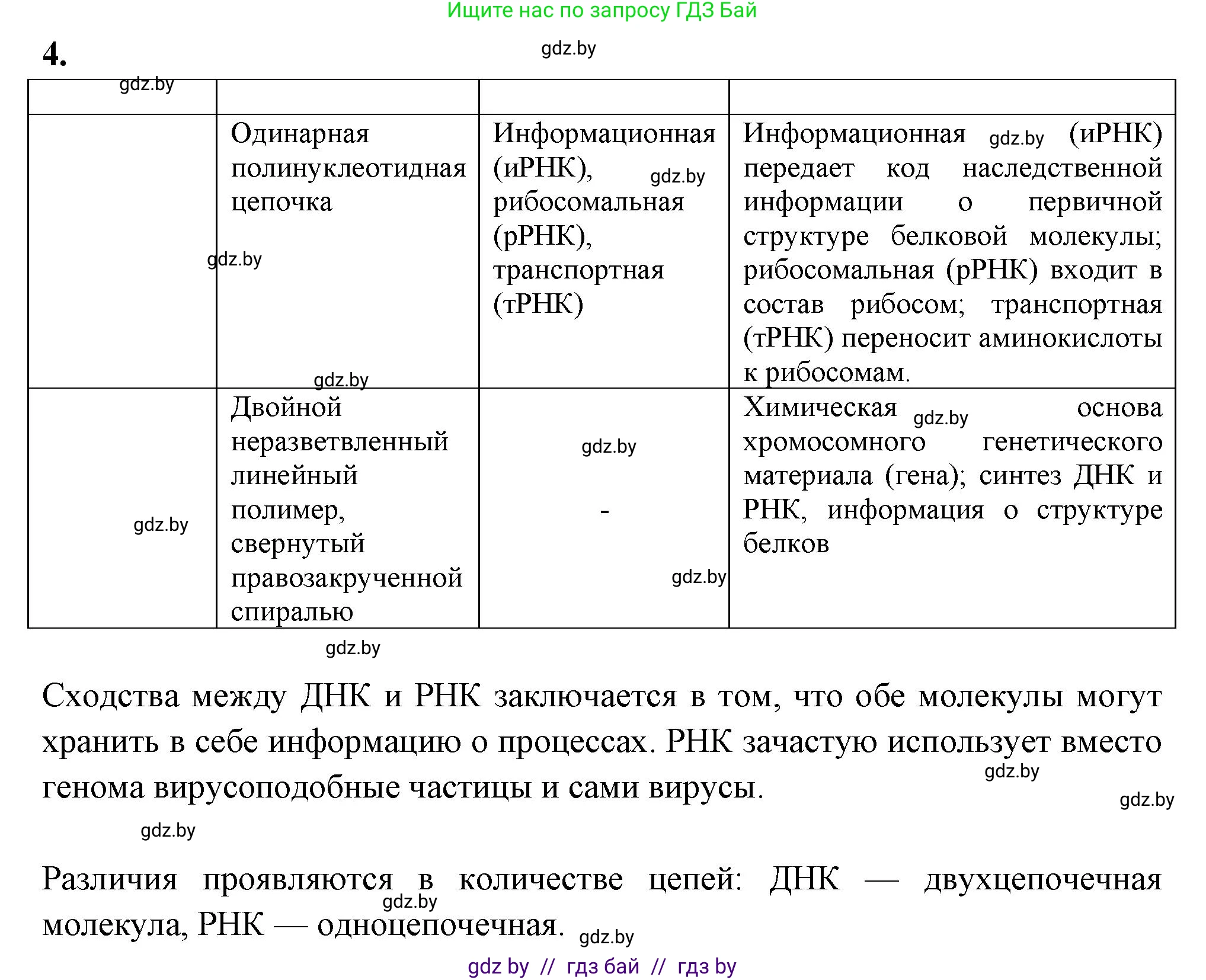 Биология, 11 класс рабочая тетрадь, автор: Хруцкая Тамара Викторовна, издательство Аверсэв, Минск, 2021, зелёного цвета, страница 17, номер 4, Решение