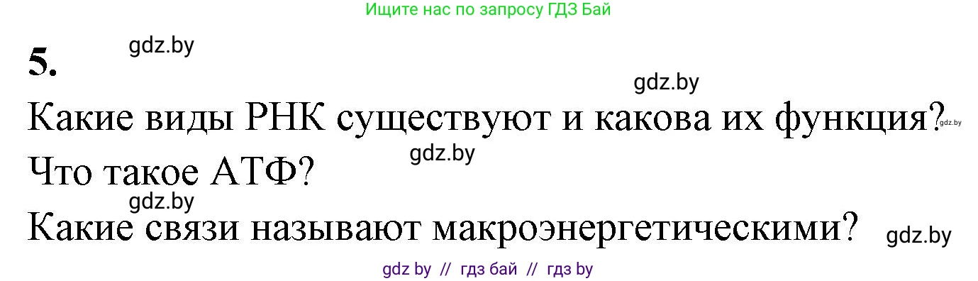 Биология, 11 класс рабочая тетрадь, автор: Хруцкая Тамара Викторовна, издательство Аверсэв, Минск, 2021, зелёного цвета, страница 17, номер 5, Решение