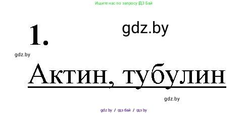 Биология, 11 класс рабочая тетрадь, автор: Хруцкая Тамара Викторовна, издательство Аверсэв, Минск, 2021, зелёного цвета, страница 23, номер 1, Решение