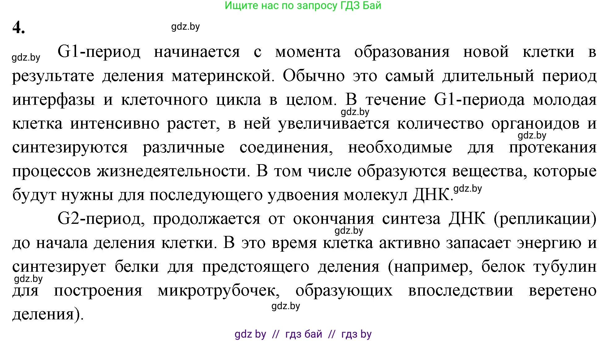 Биология, 11 класс рабочая тетрадь, автор: Хруцкая Тамара Викторовна, издательство Аверсэв, Минск, 2021, зелёного цвета, страница 32, номер 4, Решение