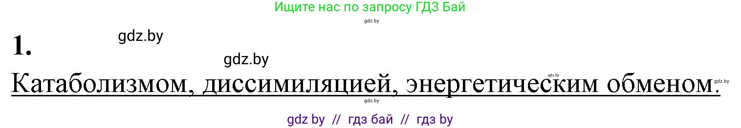 Биология, 11 класс рабочая тетрадь, автор: Хруцкая Тамара Викторовна, издательство Аверсэв, Минск, 2021, зелёного цвета, страница 40, номер 1, Решение