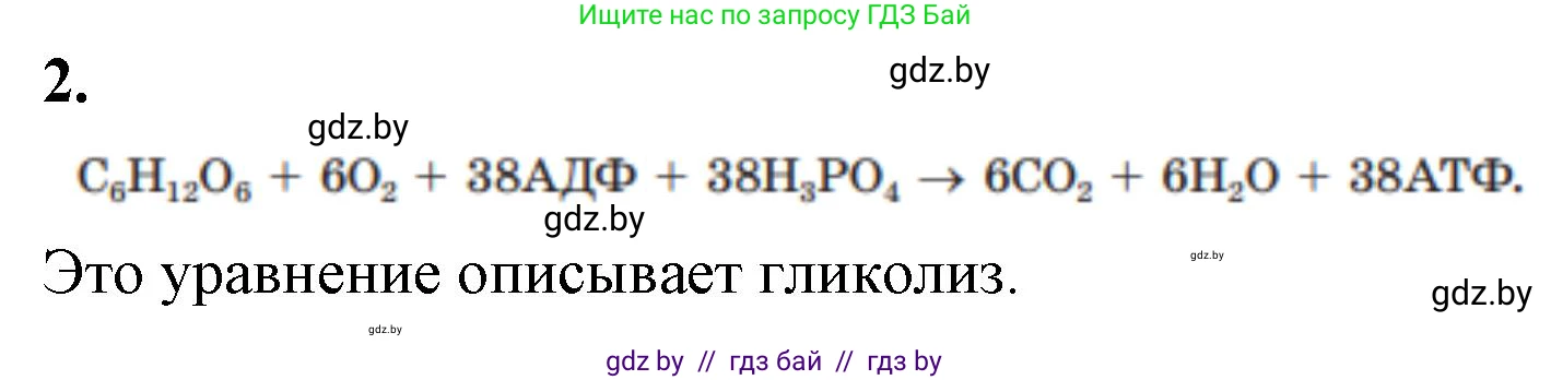 Биология, 11 класс рабочая тетрадь, автор: Хруцкая Тамара Викторовна, издательство Аверсэв, Минск, 2021, зелёного цвета, страница 41, номер 2, Решение