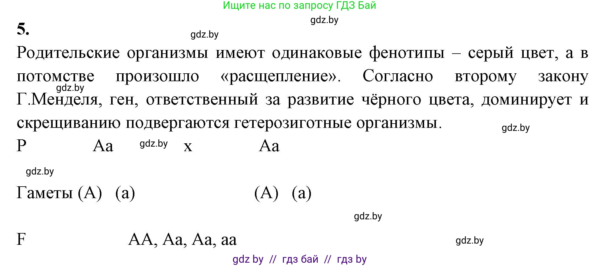 Биология, 11 класс рабочая тетрадь, автор: Хруцкая Тамара Викторовна, издательство Аверсэв, Минск, 2021, зелёного цвета, страница 57, номер 5, Решение
