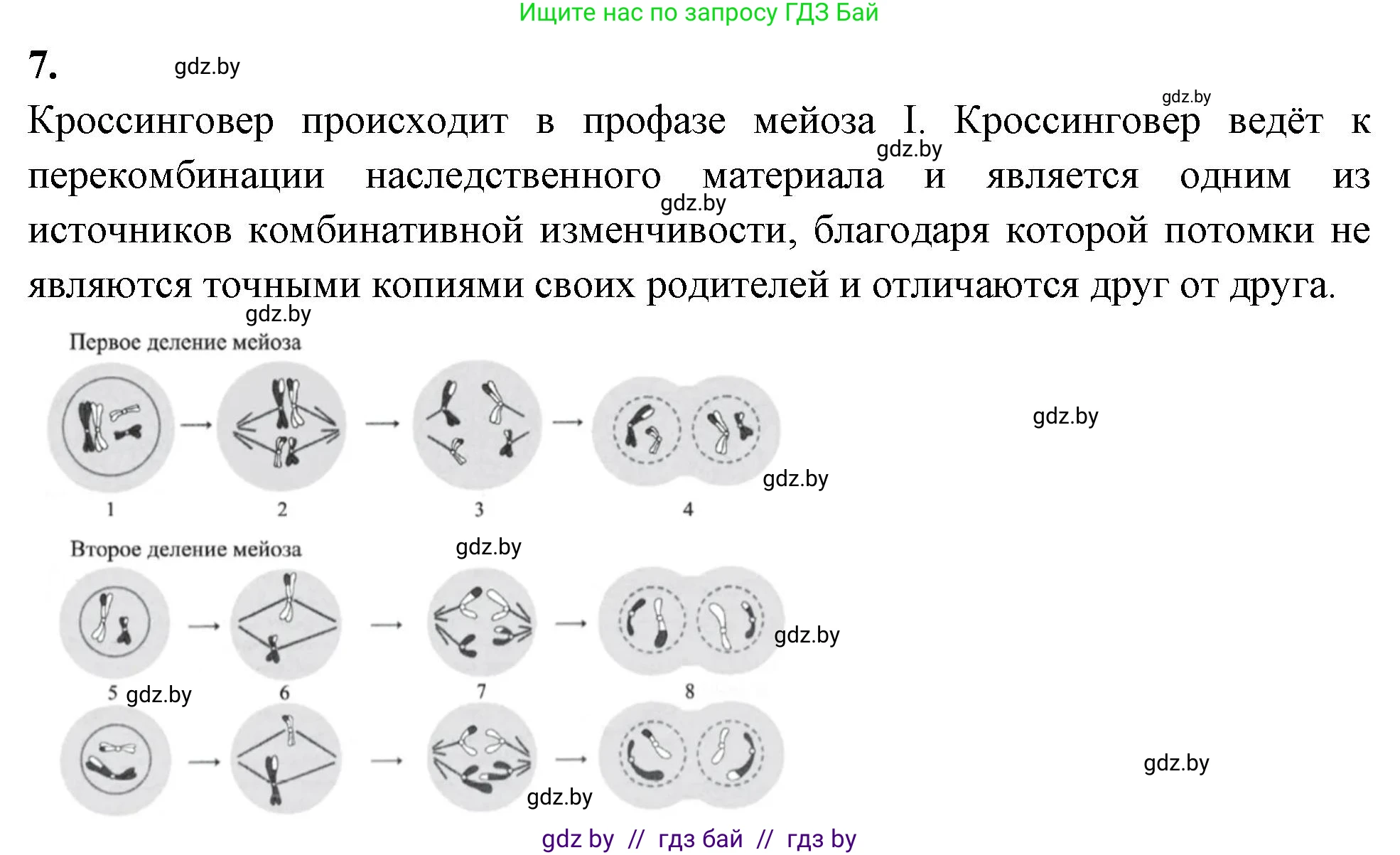 Биология, 11 класс рабочая тетрадь, автор: Хруцкая Тамара Викторовна, издательство Аверсэв, Минск, 2021, зелёного цвета, страница 65, номер 7, Решение