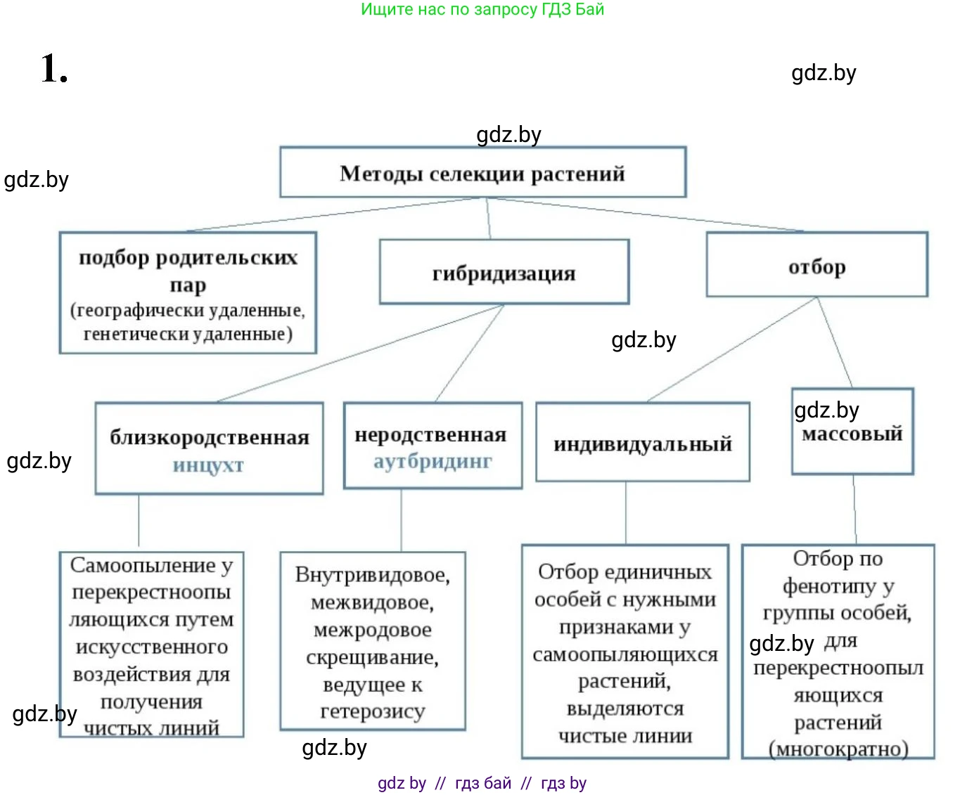 Биология, 11 класс рабочая тетрадь, автор: Хруцкая Тамара Викторовна, издательство Аверсэв, Минск, 2021, зелёного цвета, страница 75, номер 1, Решение