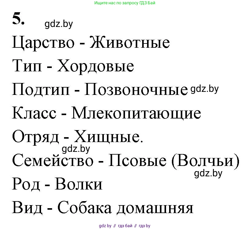 Биология, 11 класс рабочая тетрадь, автор: Хруцкая Тамара Викторовна, издательство Аверсэв, Минск, 2021, зелёного цвета, страница 99, номер 5, Решение