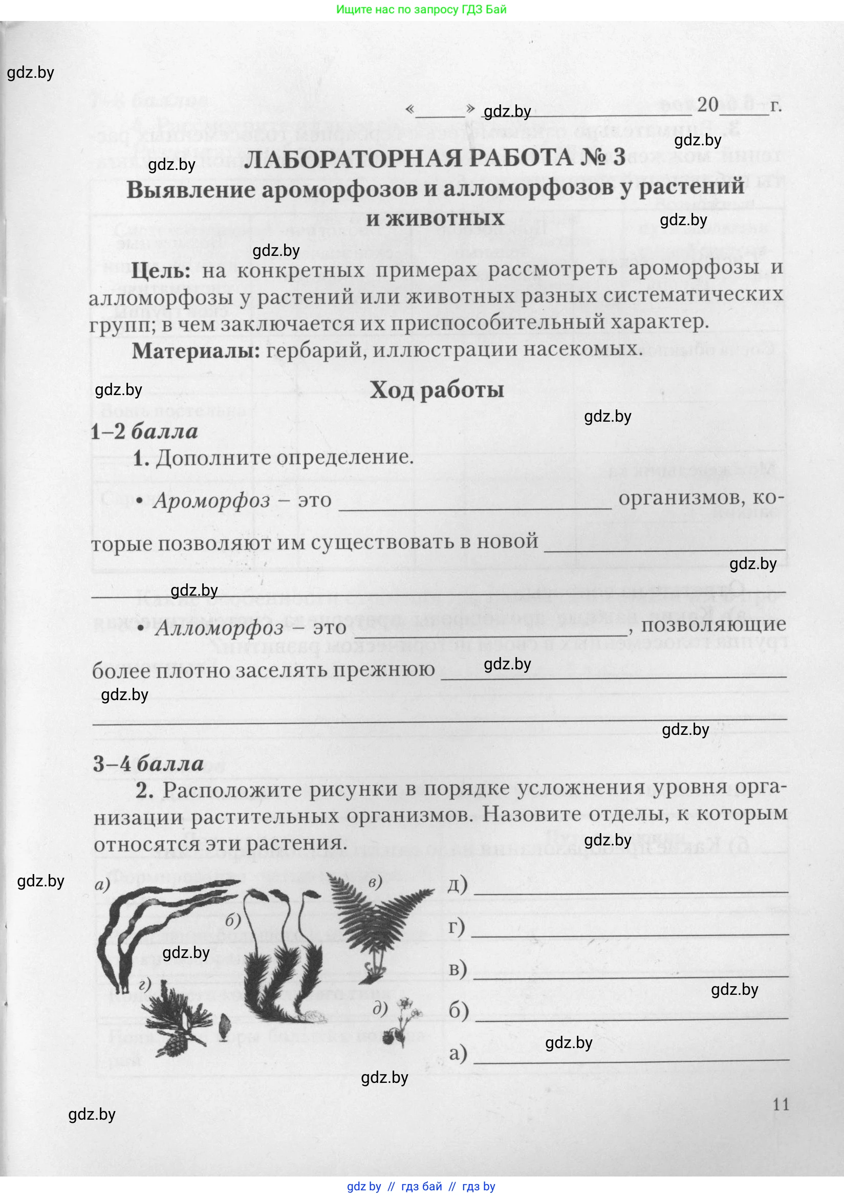Биология, 11 класс тетрадь для практических и лабораторных работ, экскурсий, автор: Новик Ирина Михайловна, издательство Сэр-Вит, Минск, 2019, розового цвета, страница 11