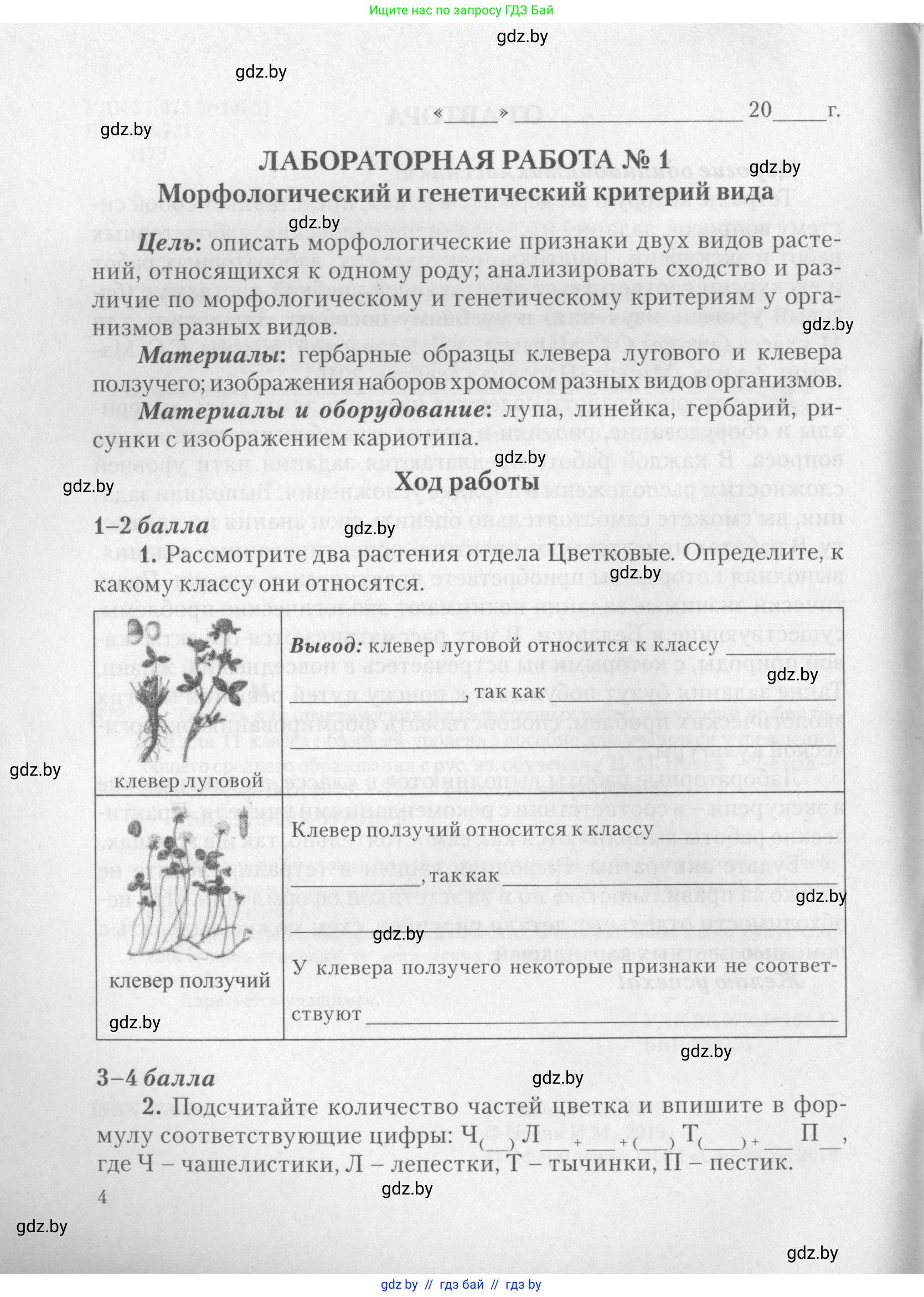 Биология, 11 класс тетрадь для практических и лабораторных работ, экскурсий, автор: Новик Ирина Михайловна, издательство Сэр-Вит, Минск, 2019, розового цвета, страница 4