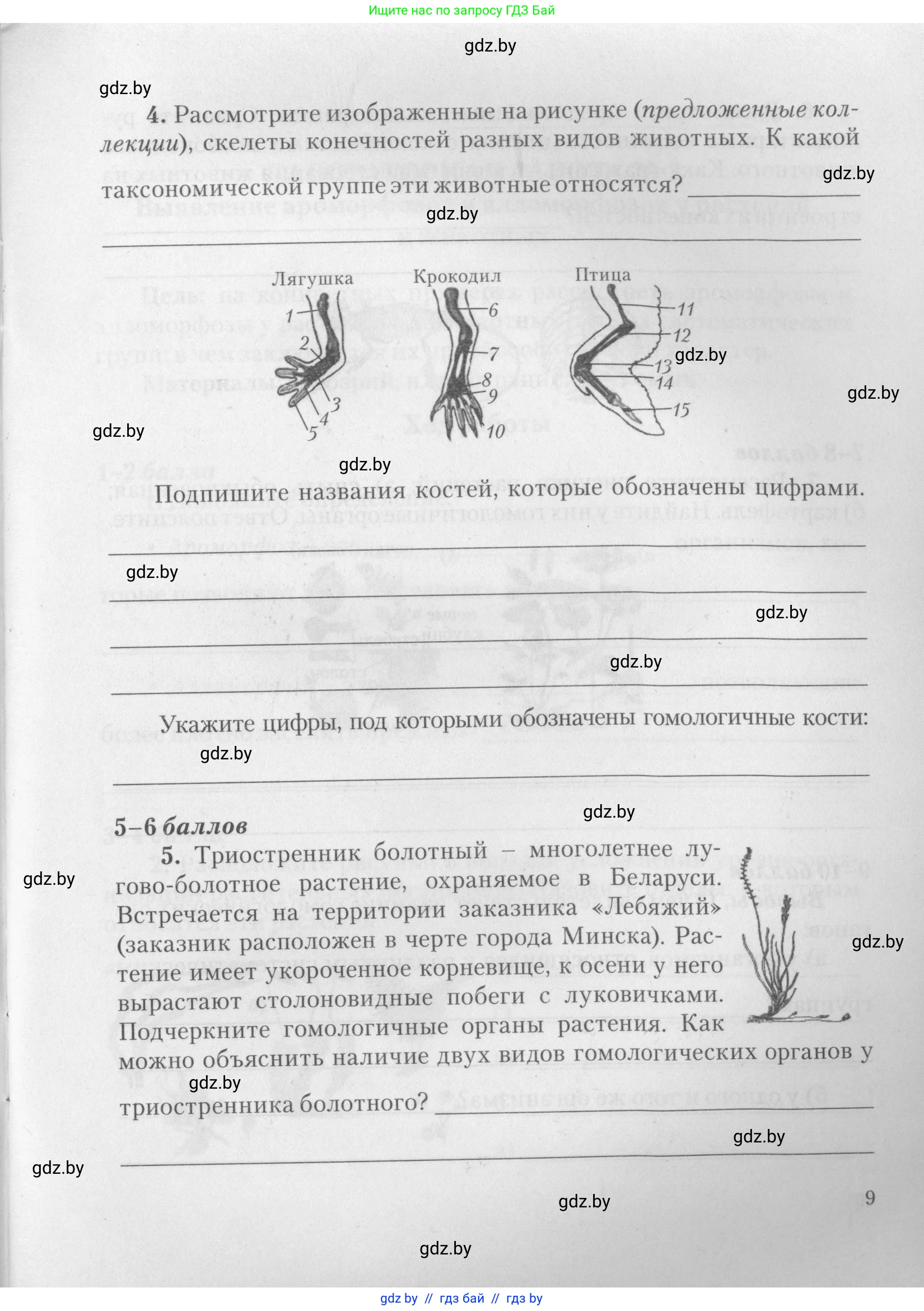 Биология, 11 класс тетрадь для практических и лабораторных работ, экскурсий, автор: Новик Ирина Михайловна, издательство Сэр-Вит, Минск, 2019, розового цвета, страница 9