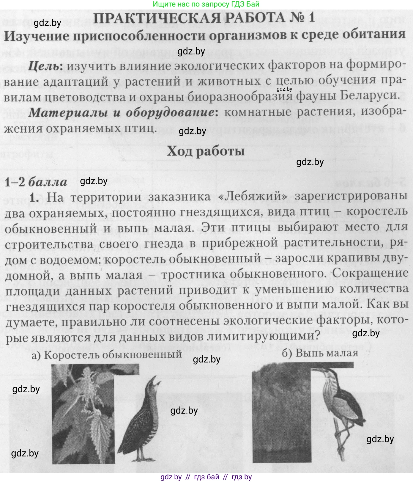 Биология, 11 класс тетрадь для практических и лабораторных работ, экскурсий, автор: Новик Ирина Михайловна, издательство Сэр-Вит, Минск, 2019, розового цвета, страница 15, номер 1, Условие