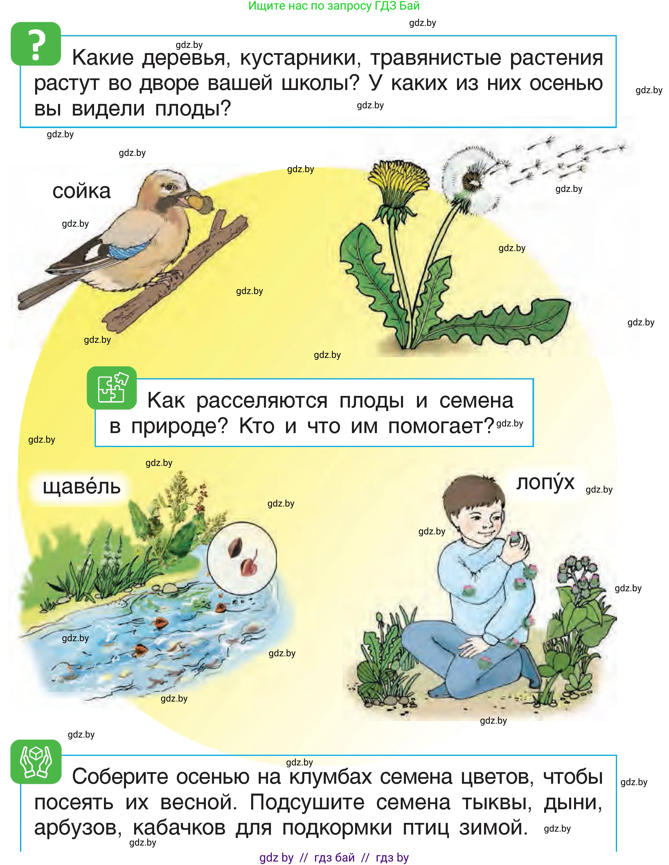 Человек и мир, 1 класс Учебник, авторы: Трафимова Галина Владимировна, Трафимов Сергей Анатольевич, издательство Национальный институт образования, Минск, 2023, салатового цвета, страница 17, Условие